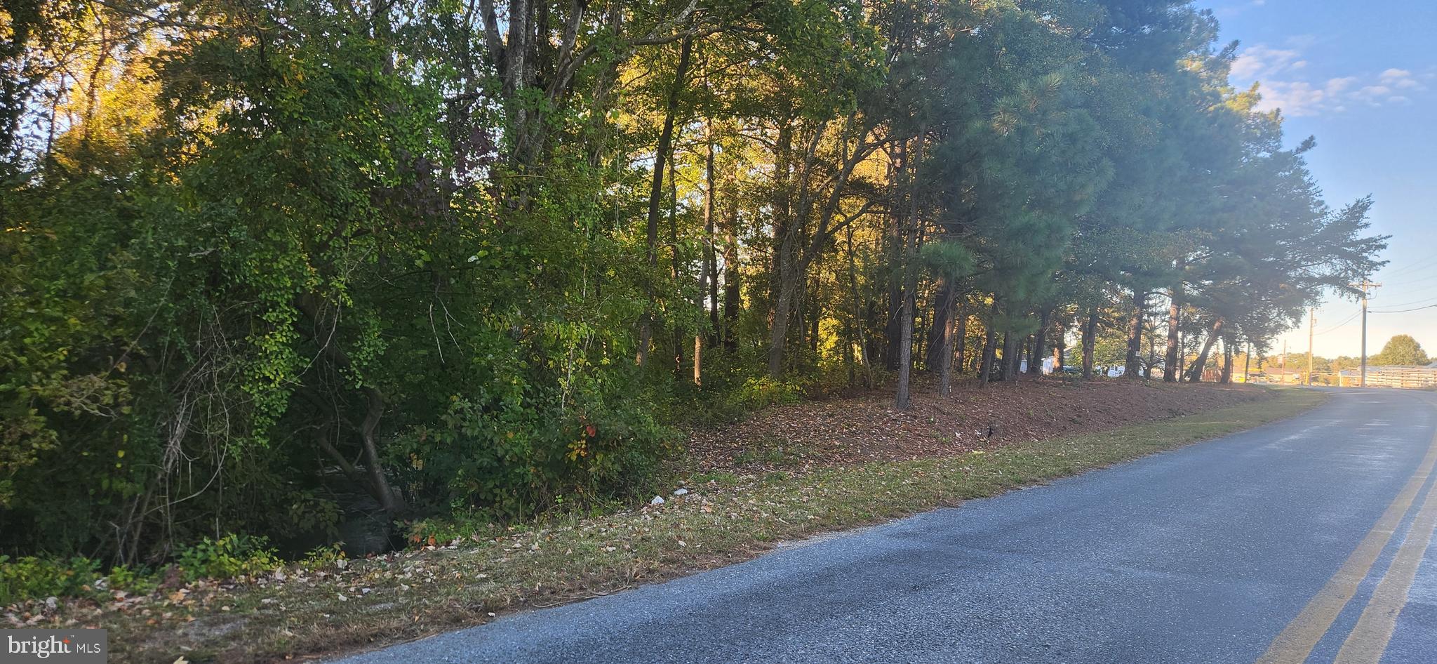 FEDERALSBURG - Residential