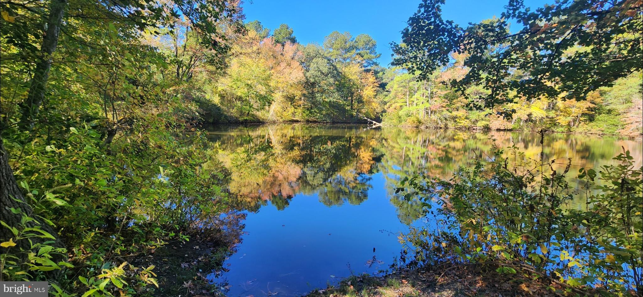 FEDERALSBURG - Residential