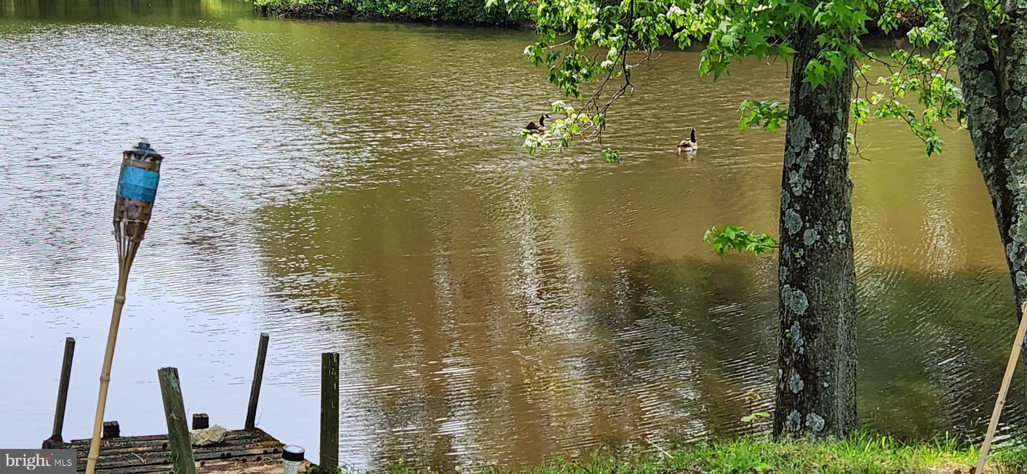 FEDERALSBURG - Residential