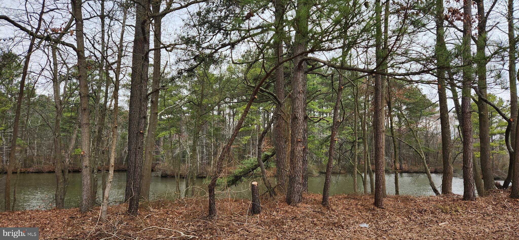 FEDERALSBURG - Residential