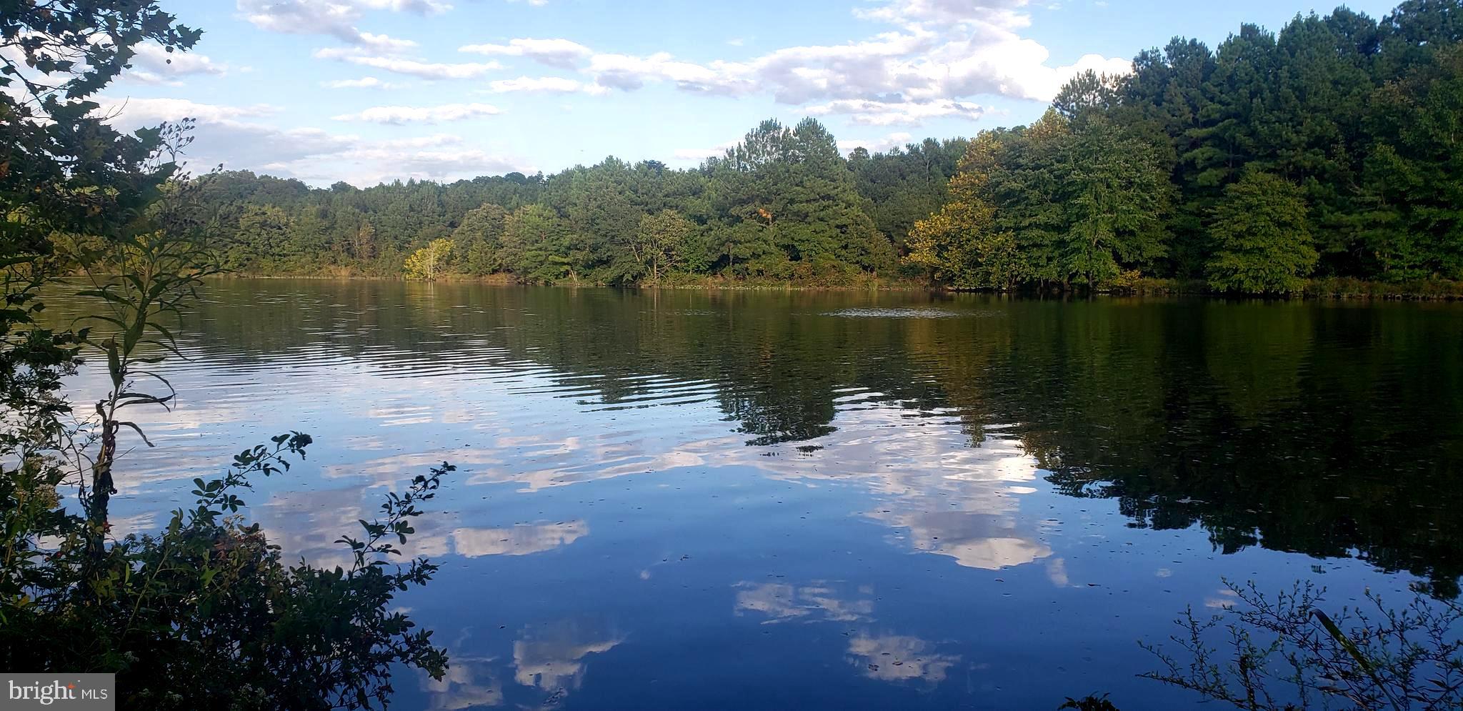 FEDERALSBURG - Residential