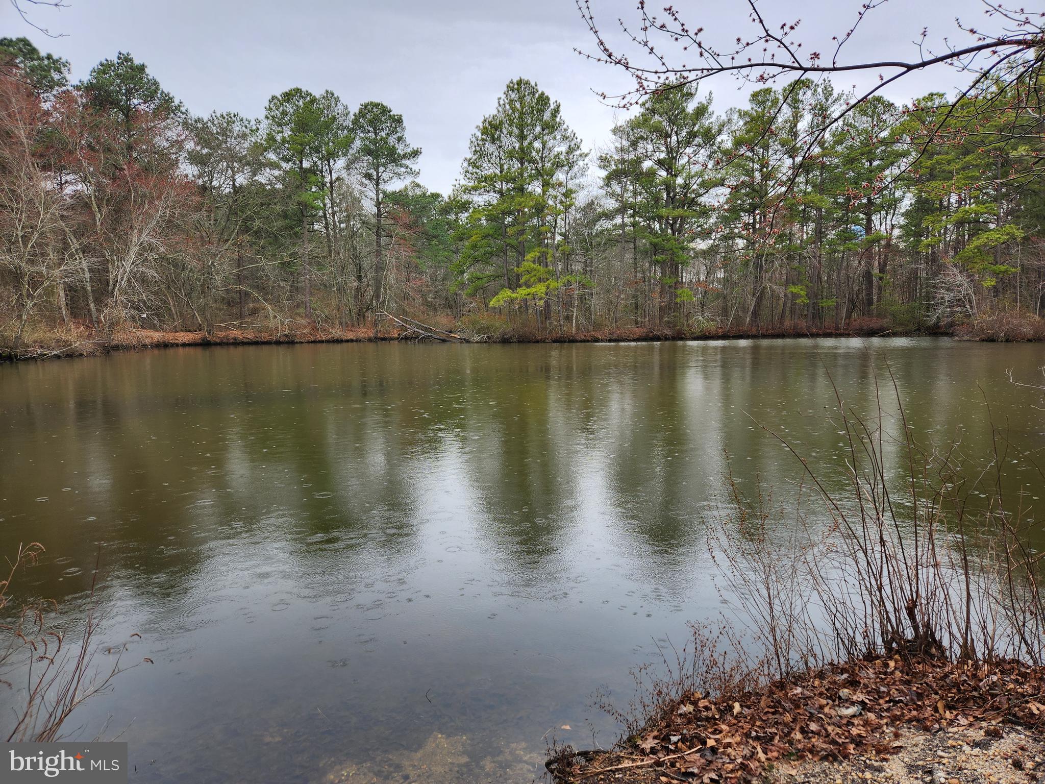 FEDERALSBURG - Residential