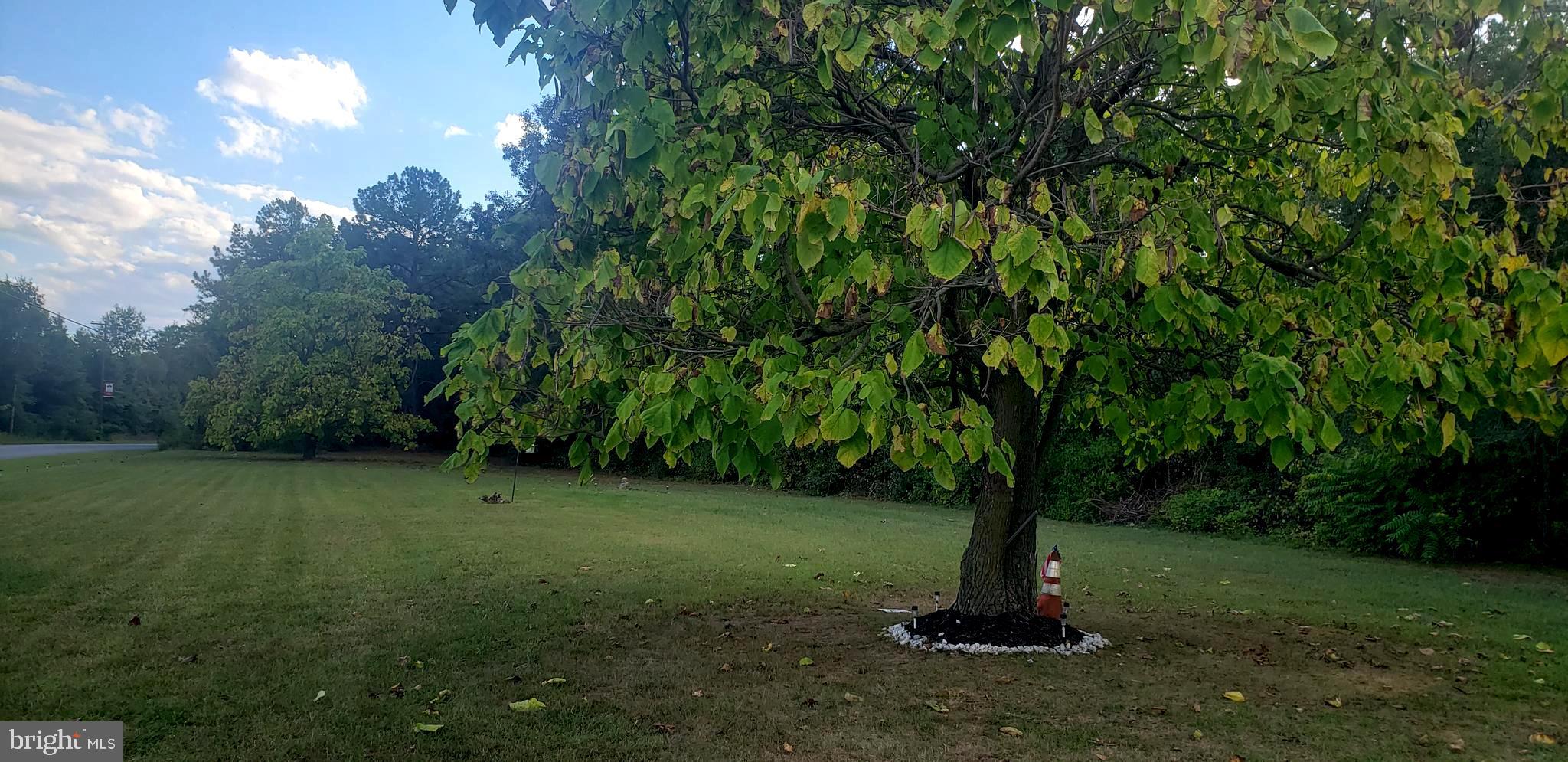 FEDERALSBURG - Residential