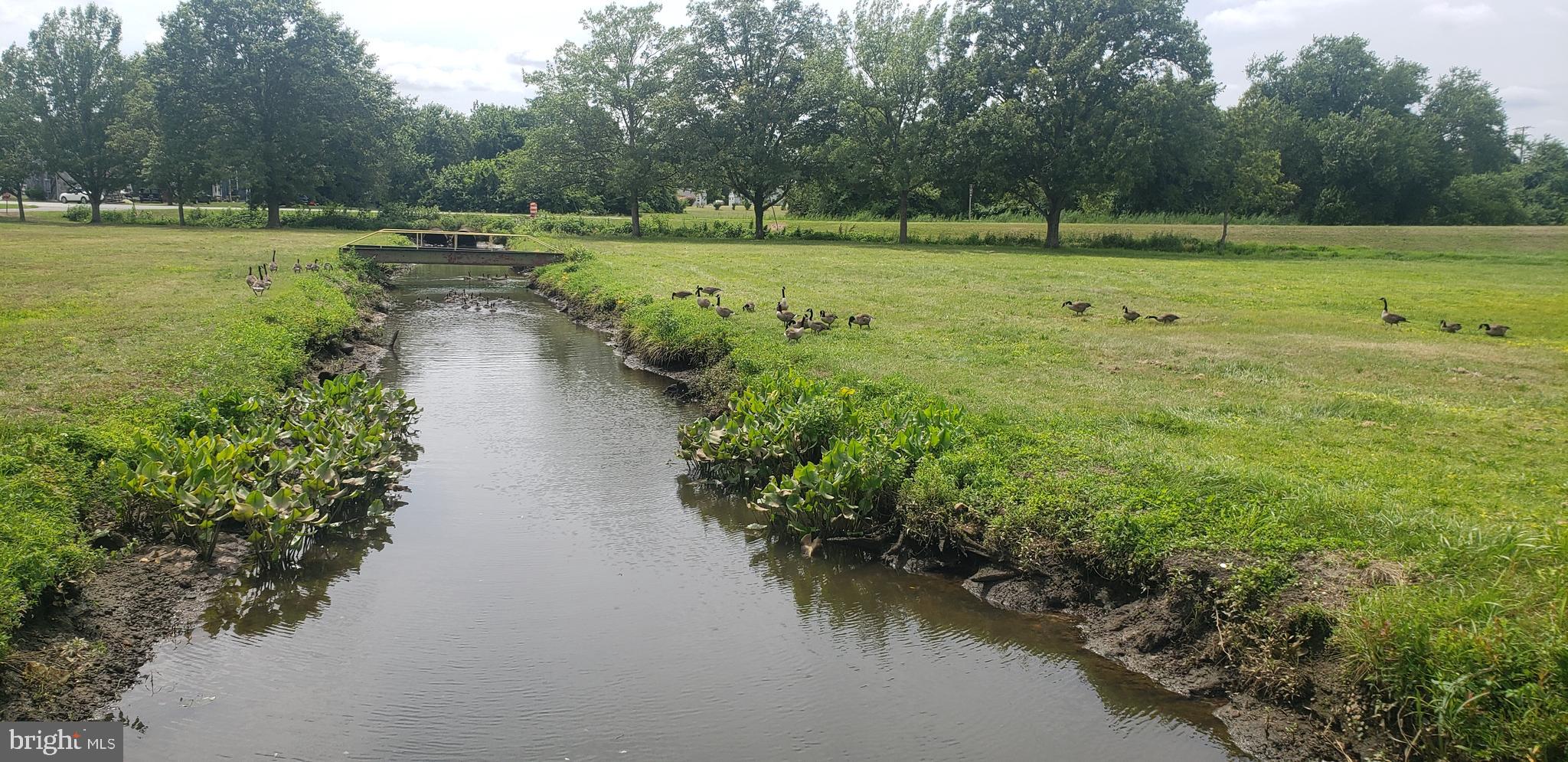 FEDERALSBURG - Residential
