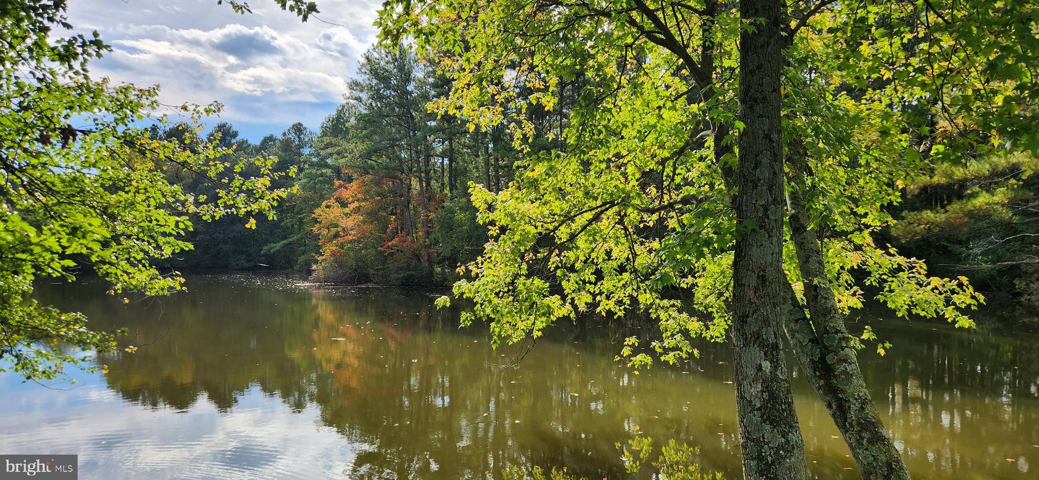 FEDERALSBURG - Residential