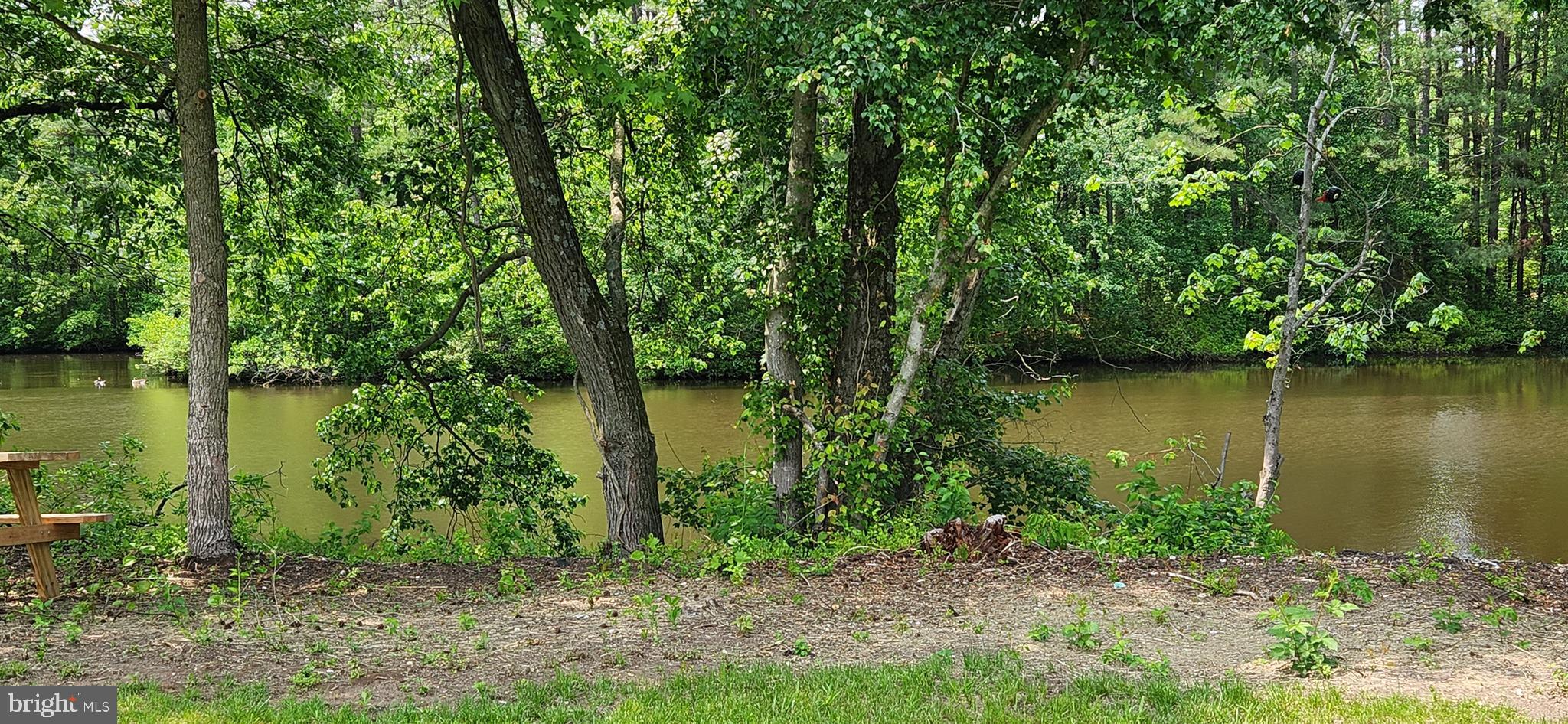 FEDERALSBURG - Residential