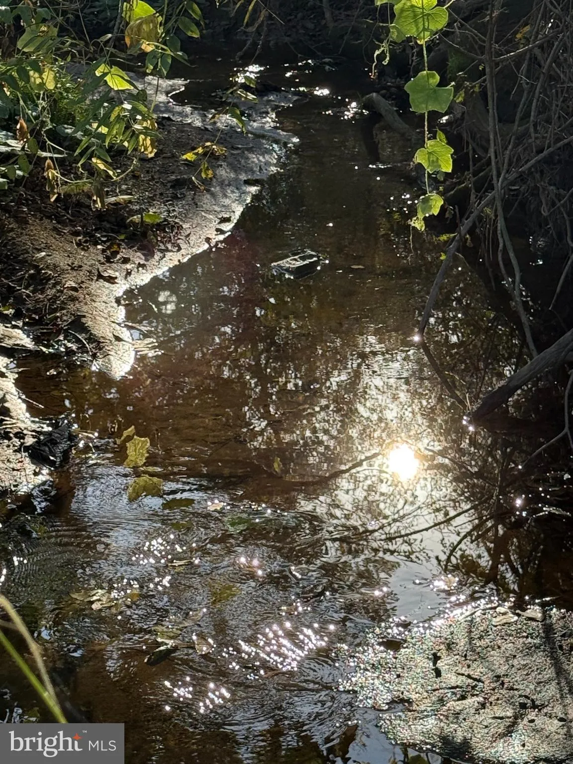 Elizabethtown, Pennsylvania 17022, United States, 5 Bedrooms Bedrooms, ,4 BathroomsBathrooms,Residential,Active,226310