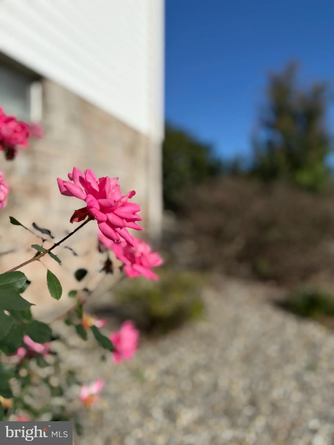 Elizabethtown, Pennsylvania 17022, United States, 5 Bedrooms Bedrooms, ,4 BathroomsBathrooms,Residential,Active,226310