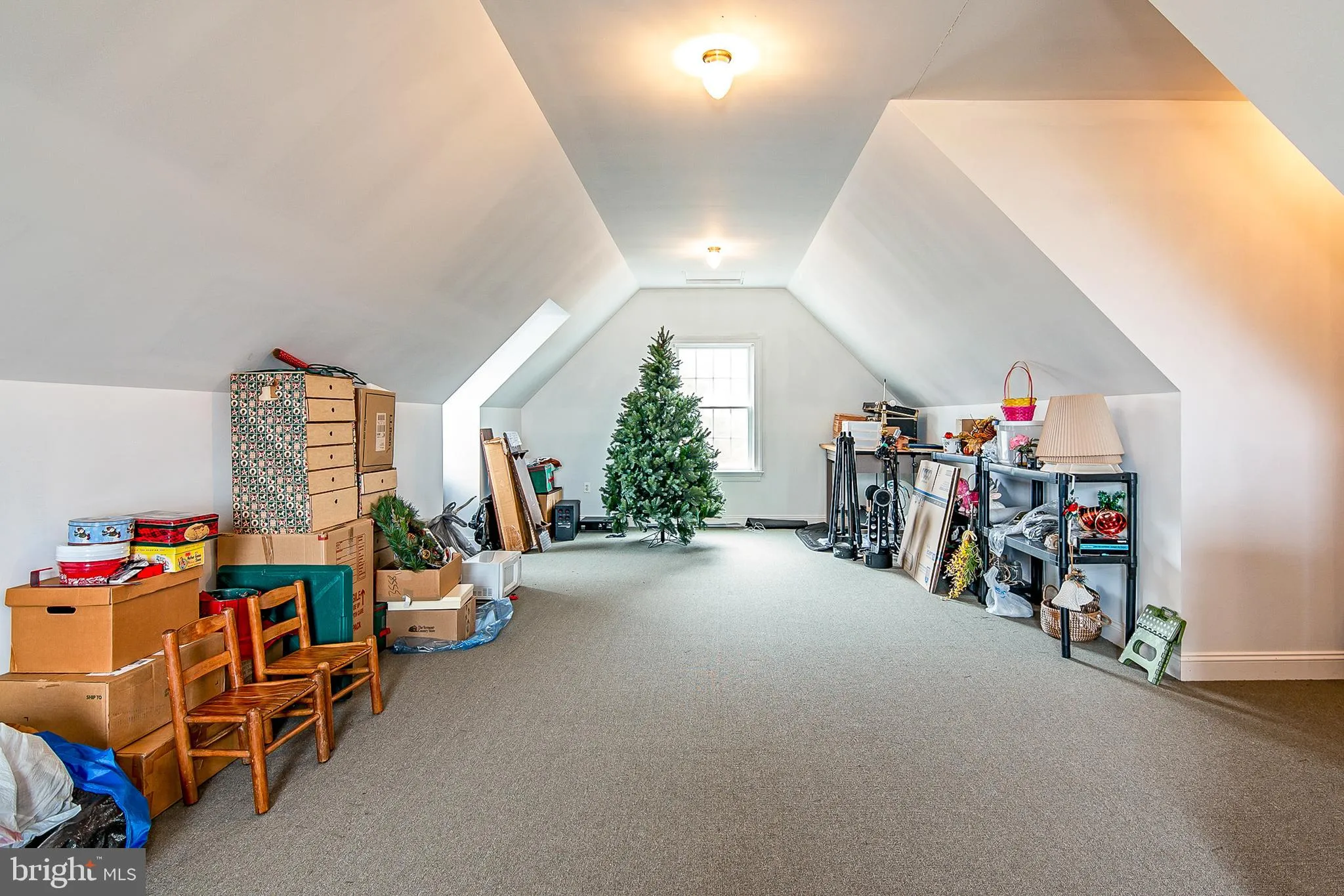 Additional image 109 of 8781 Tilghman Island Road, Wittman, MD 21676