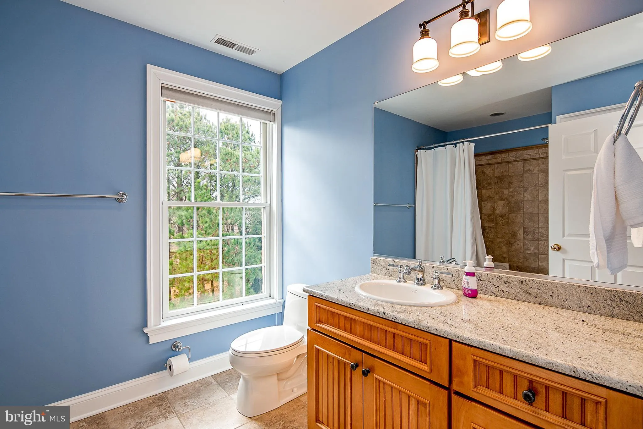 Additional image 113 of 8781 Tilghman Island Road, Wittman, MD 21676