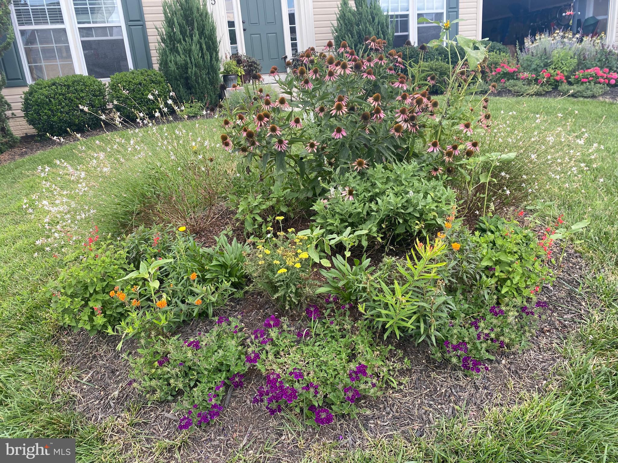 MADDEX FARM - Residential