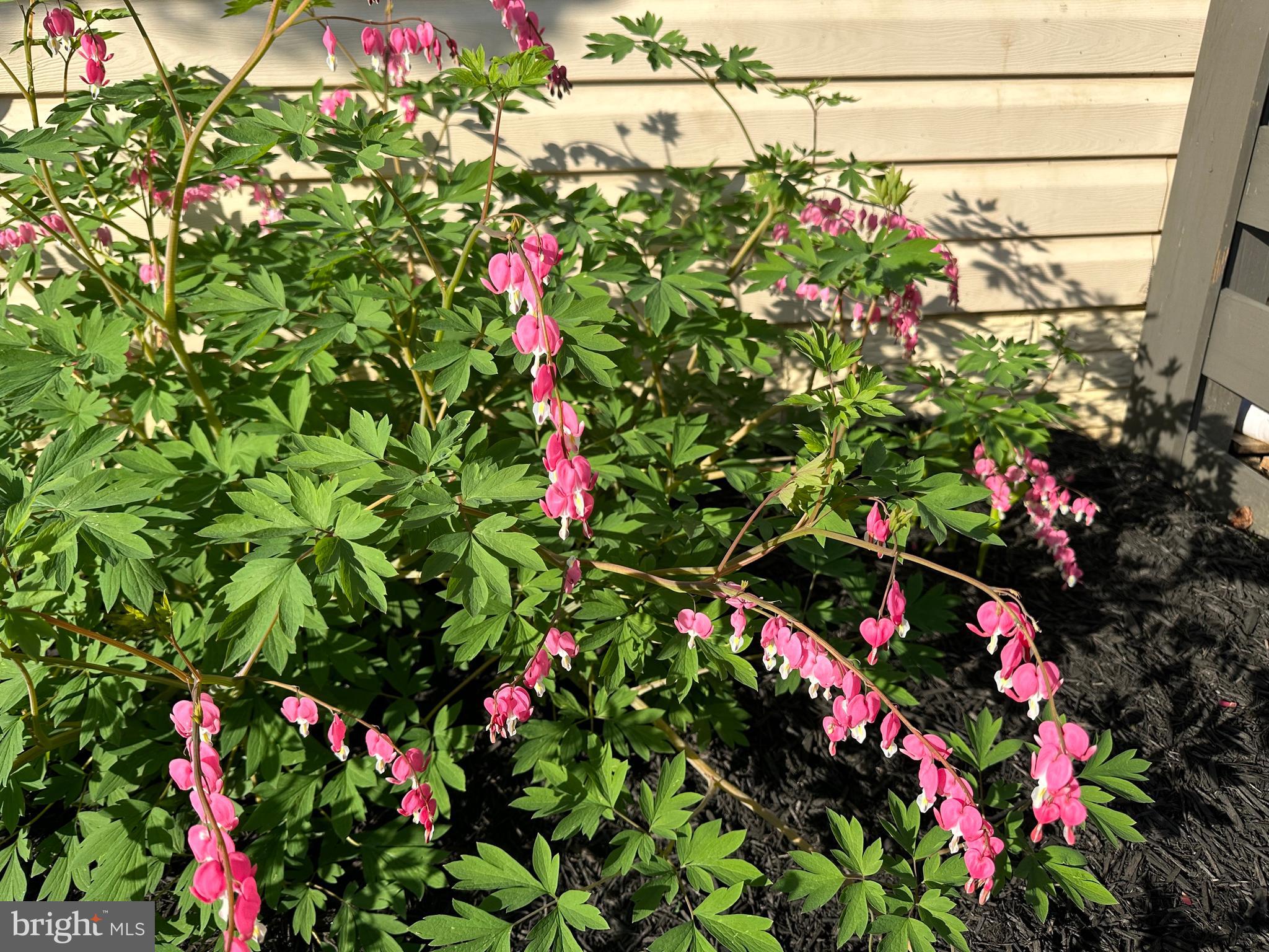 MADDEX FARM - Residential