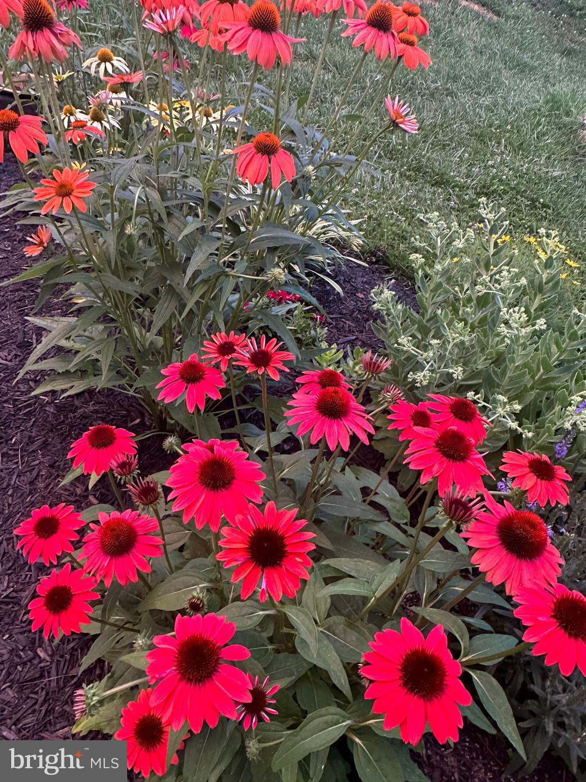 MADDEX FARM - Residential