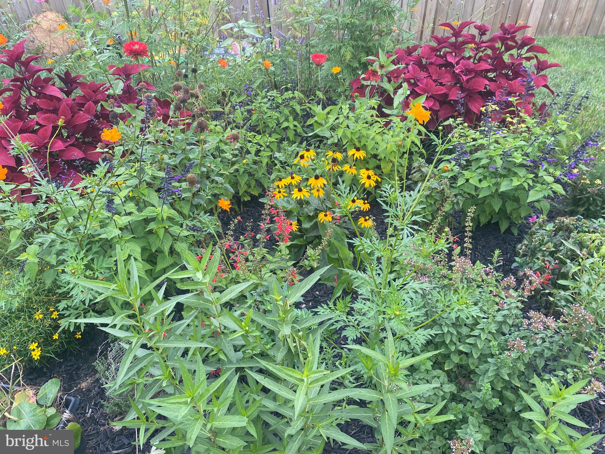 MADDEX FARM - Residential