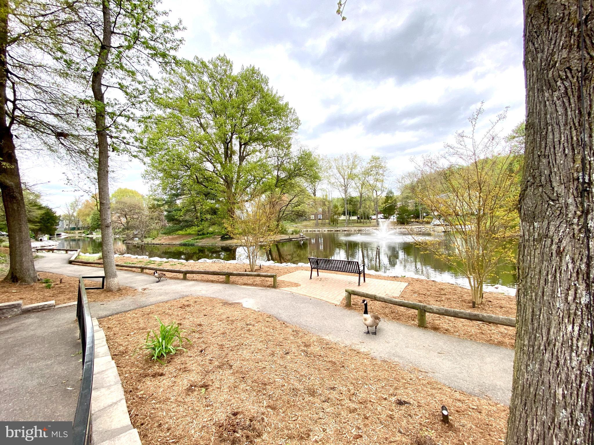 PINEWOOD LAKE - Residential