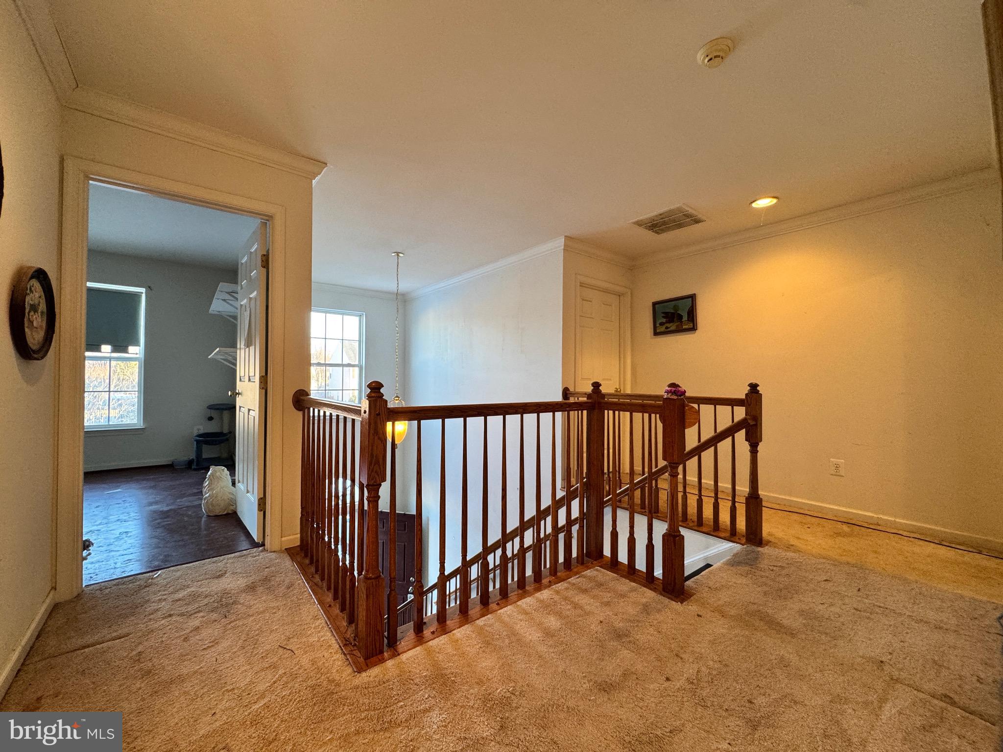 GREEN MEADOWS - Residential