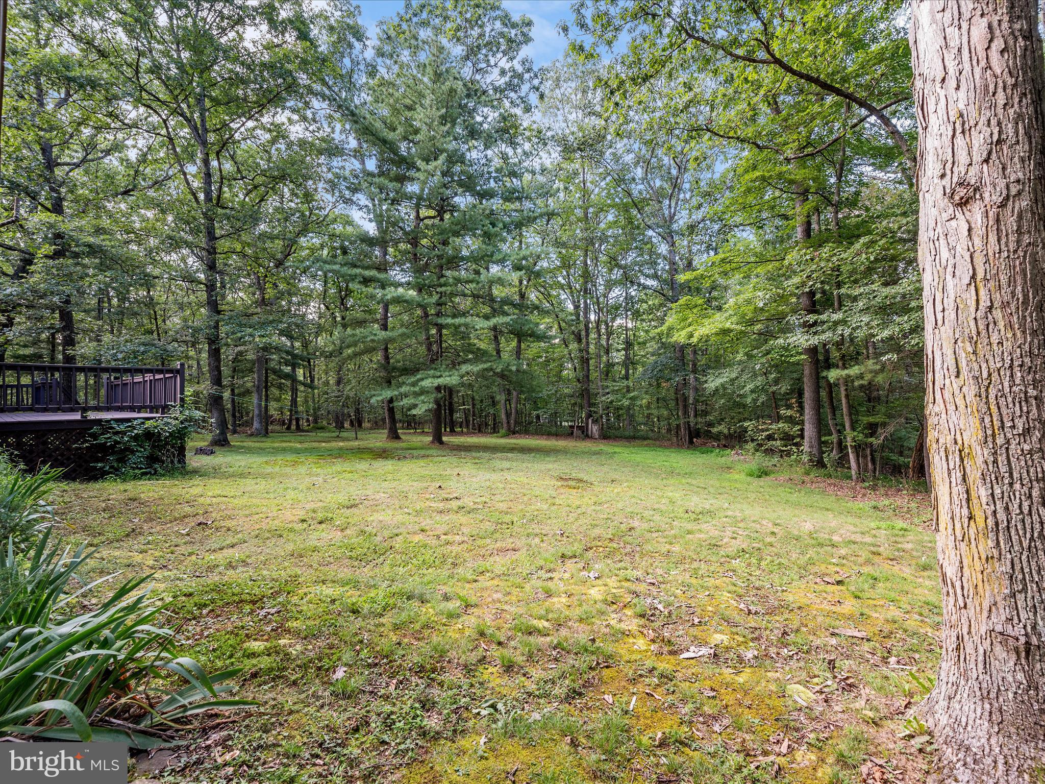 COVE MOUNTAIN ESTATES - Residential