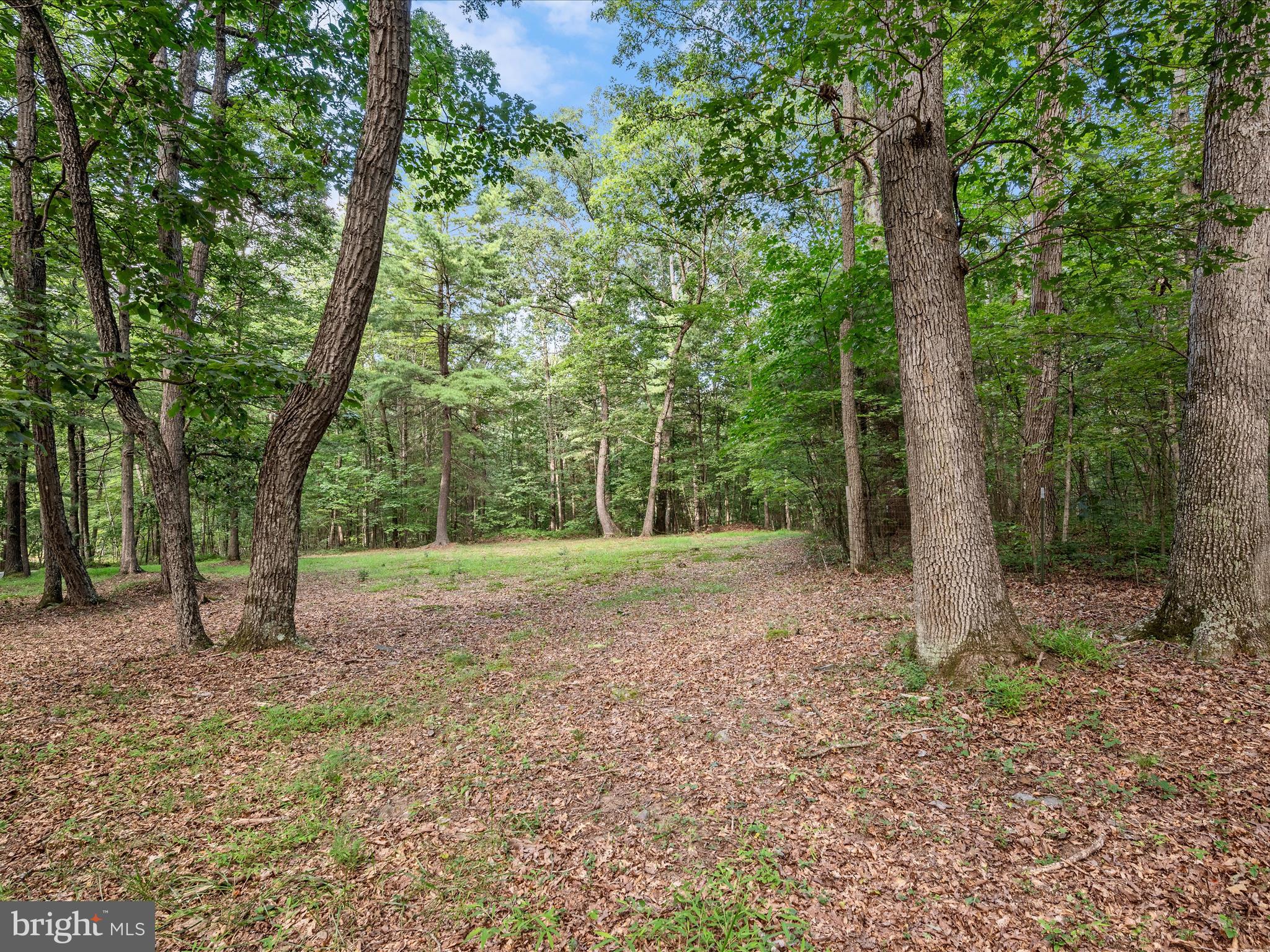 COVE MOUNTAIN ESTATES - Residential