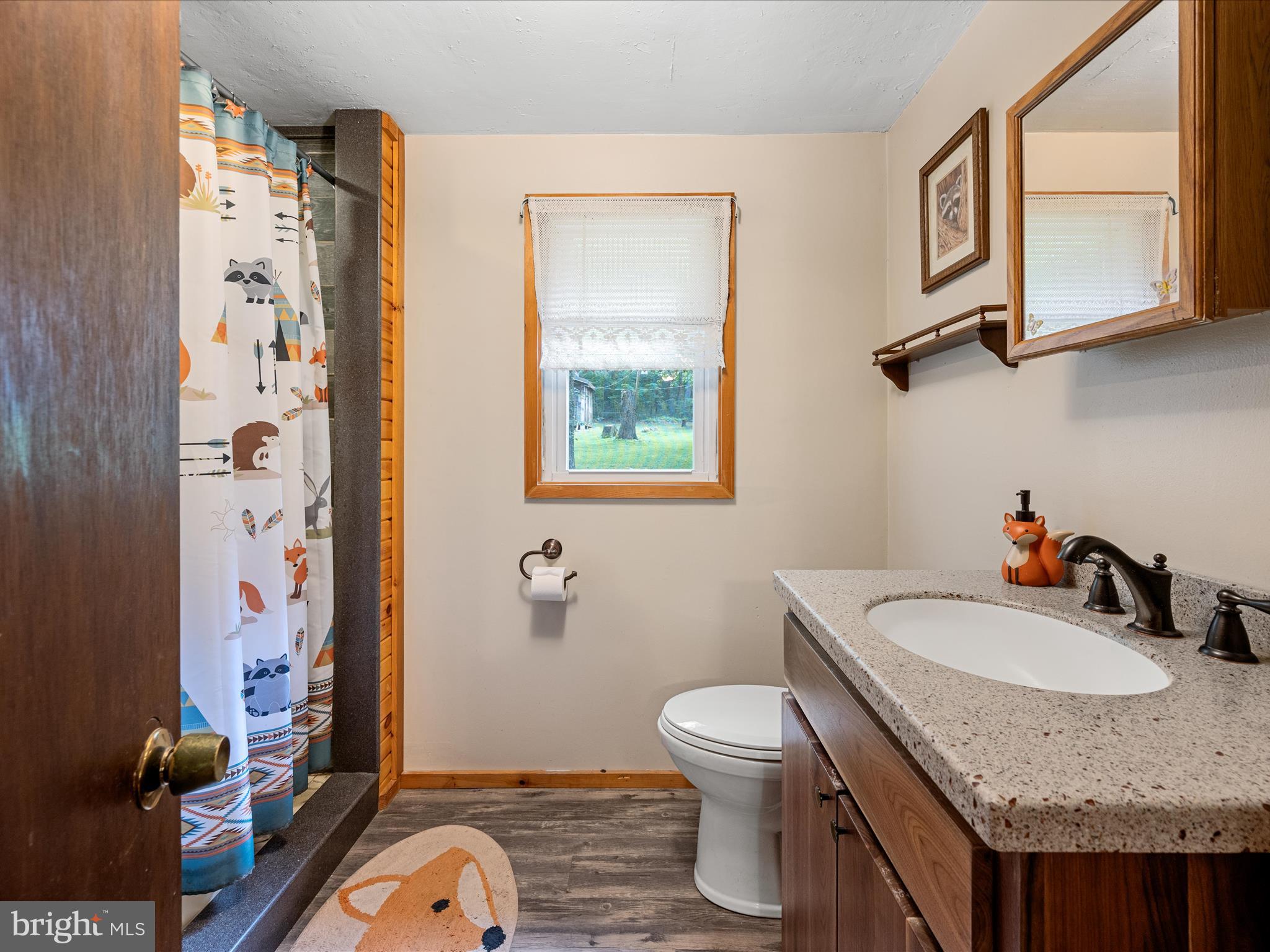 COVE MOUNTAIN ESTATES - Residential