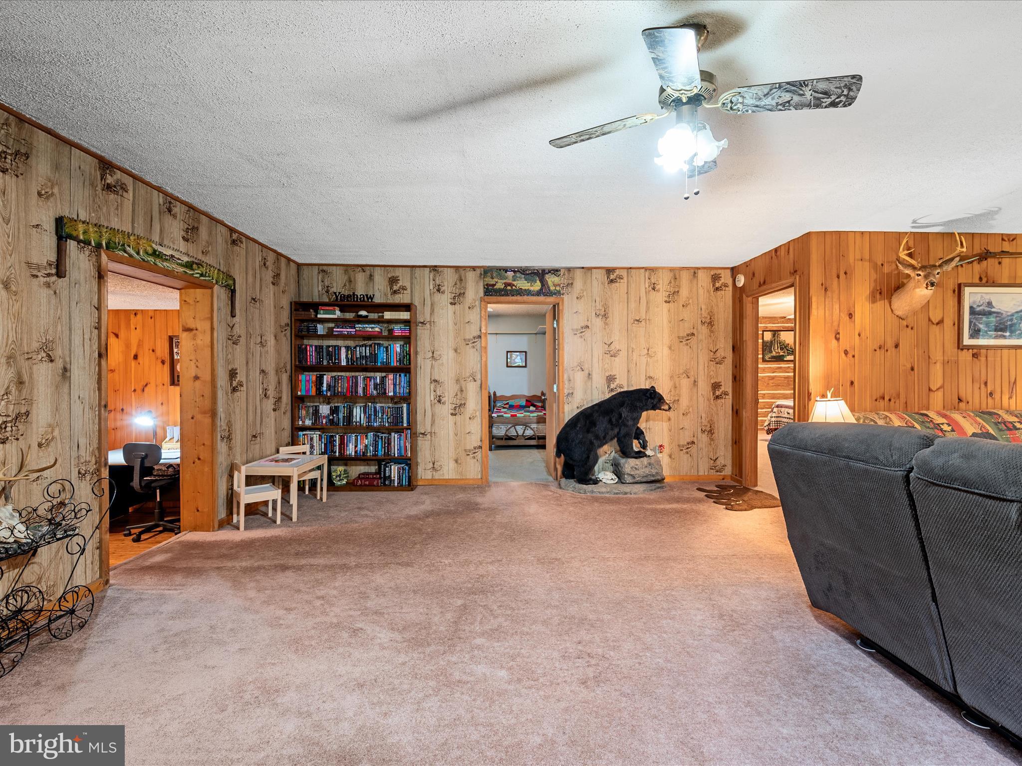 COVE MOUNTAIN ESTATES - Residential