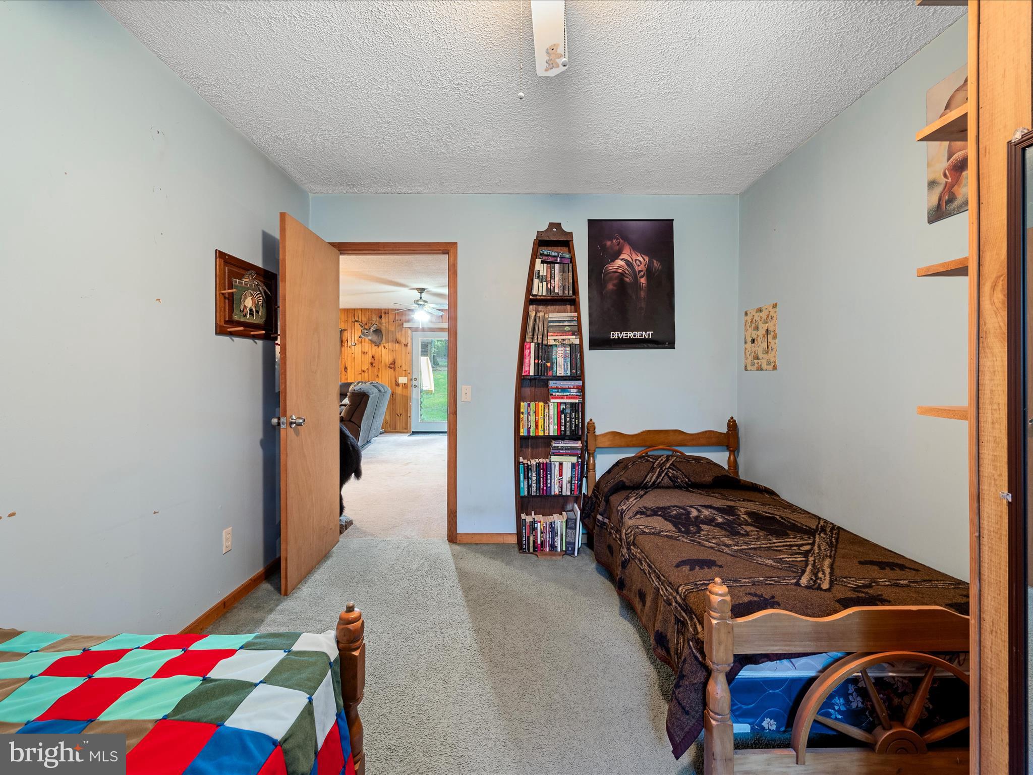 COVE MOUNTAIN ESTATES - Residential