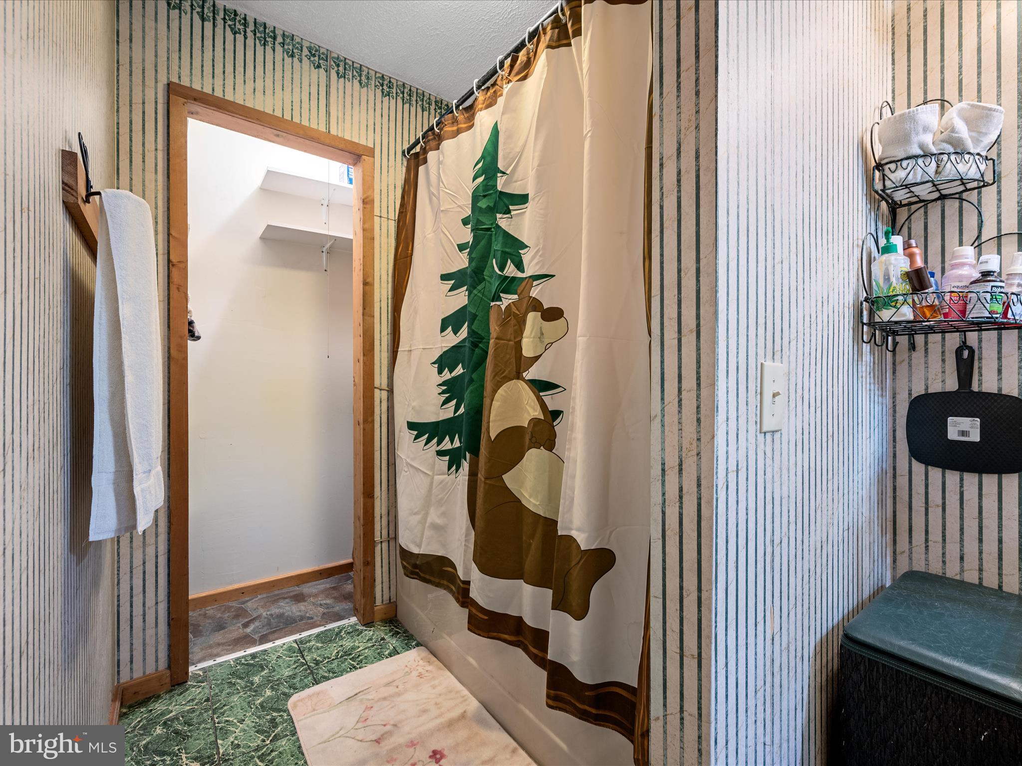 COVE MOUNTAIN ESTATES - Residential