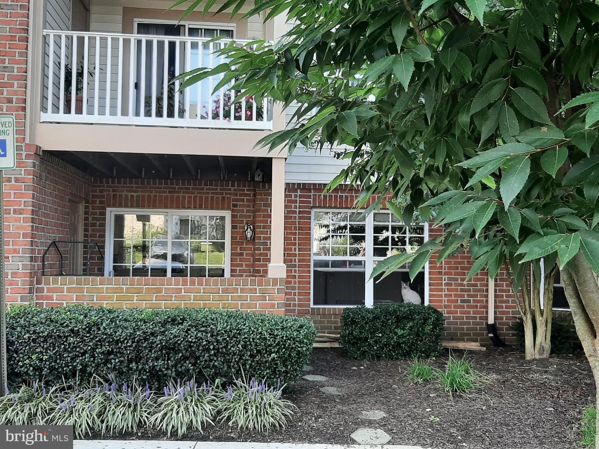 SPRING RIDGE - Residential