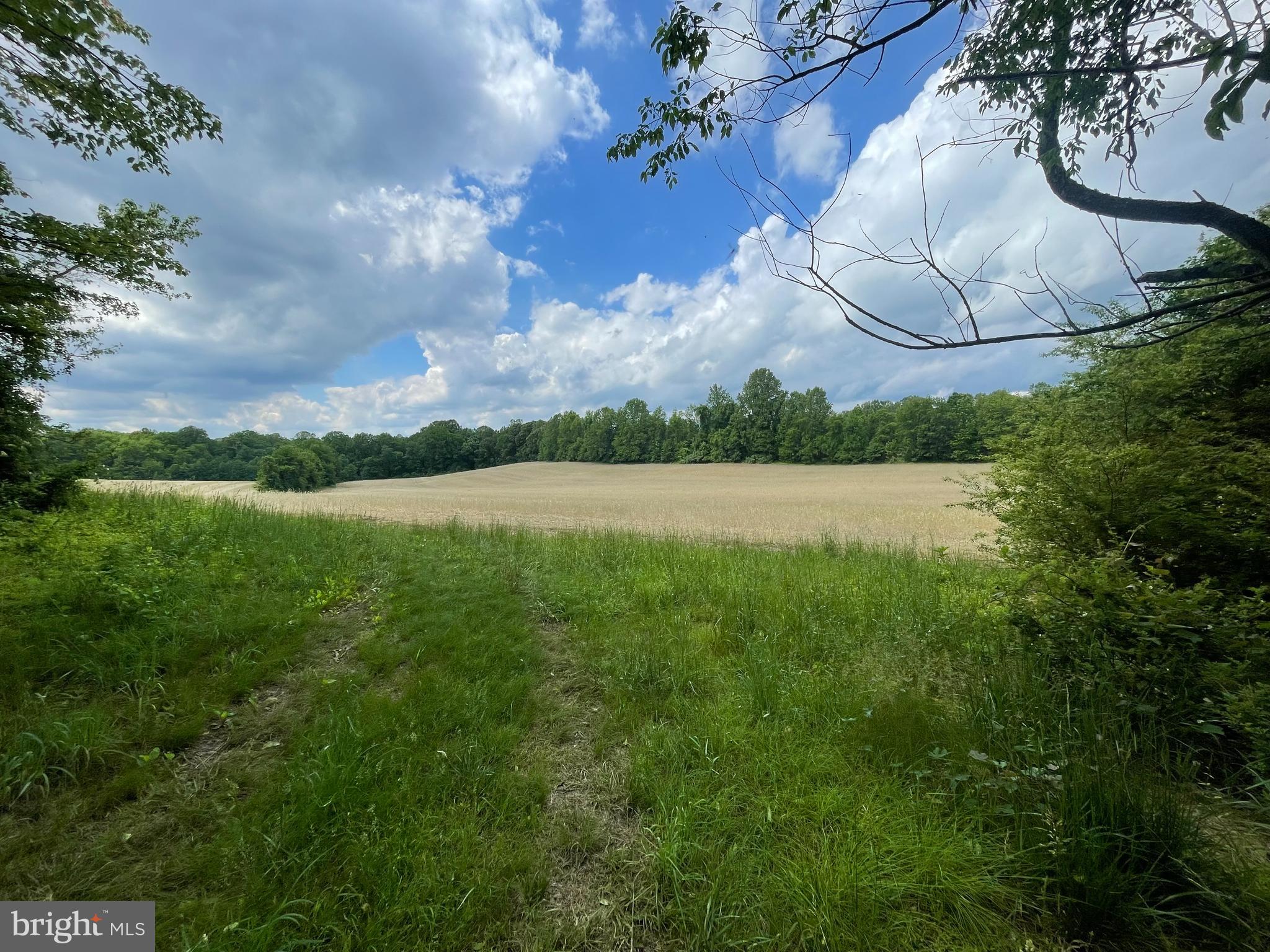 17308 QUEEN ANNE BRIDGE ROAD