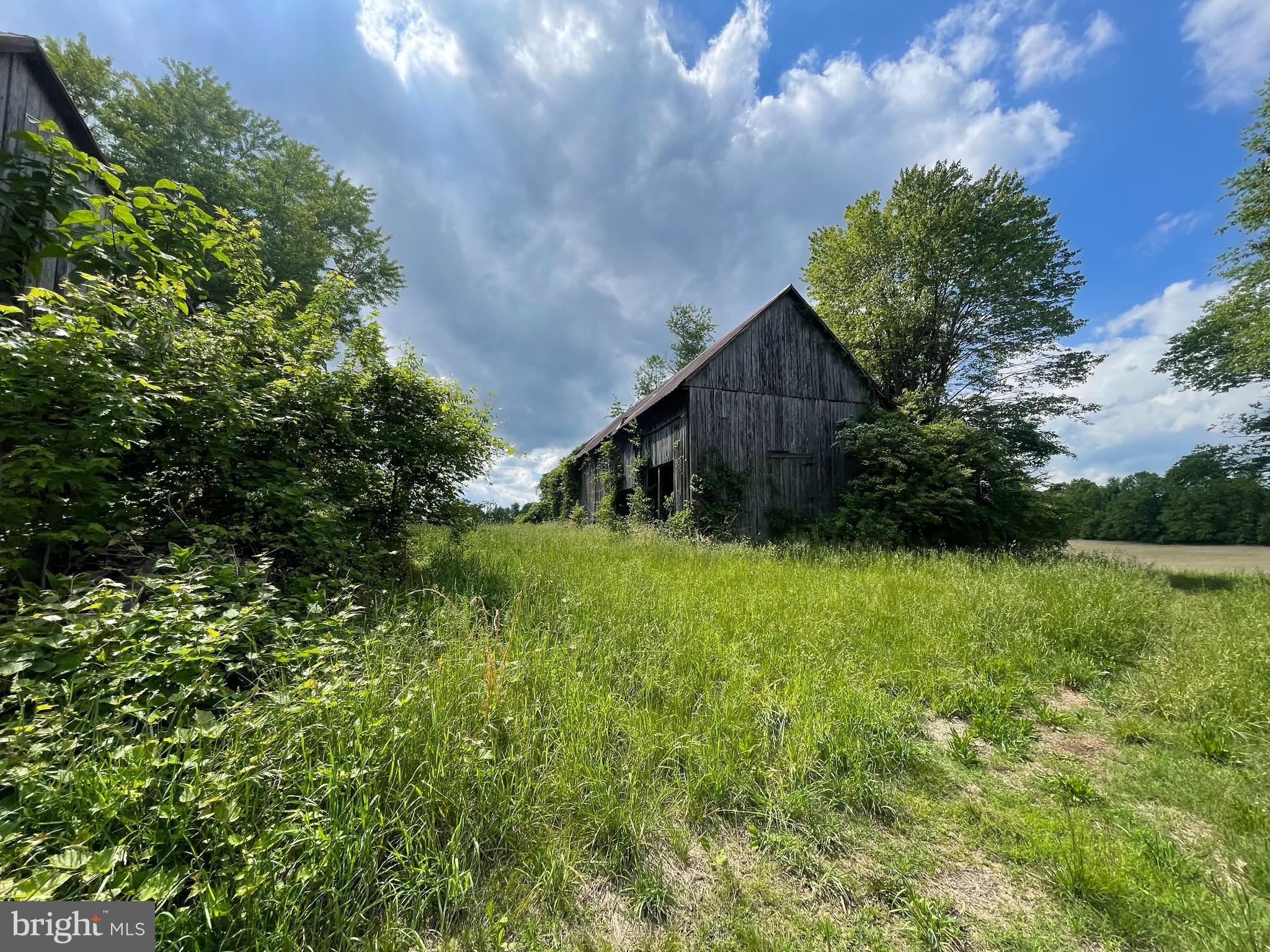 17308 QUEEN ANNE BRIDGE ROAD
