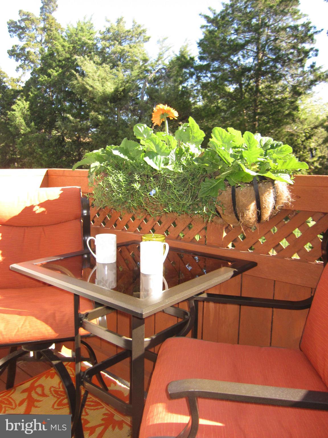 MADISON LANE - Residential Lease