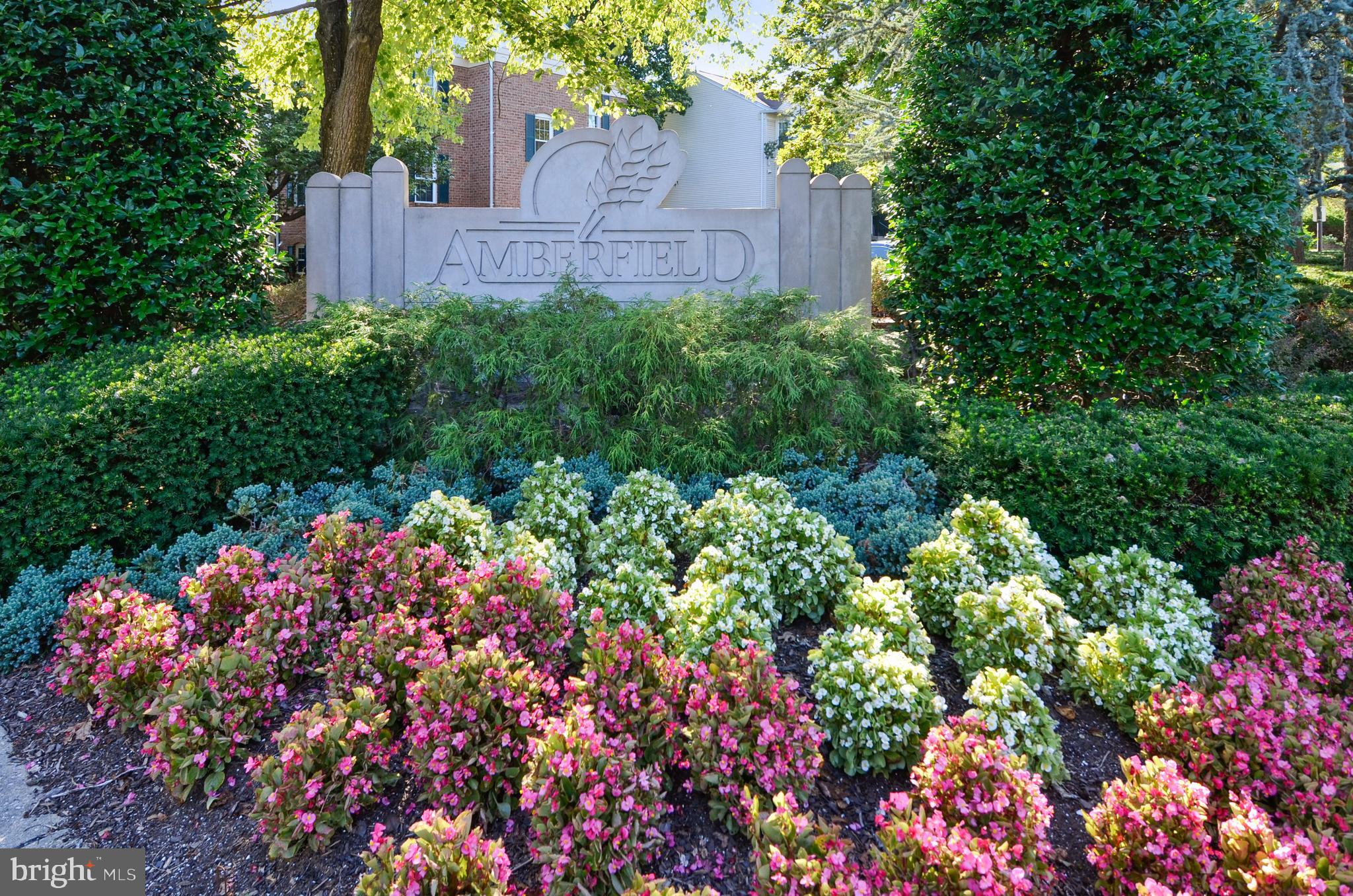 AMBERFIELD - Residential