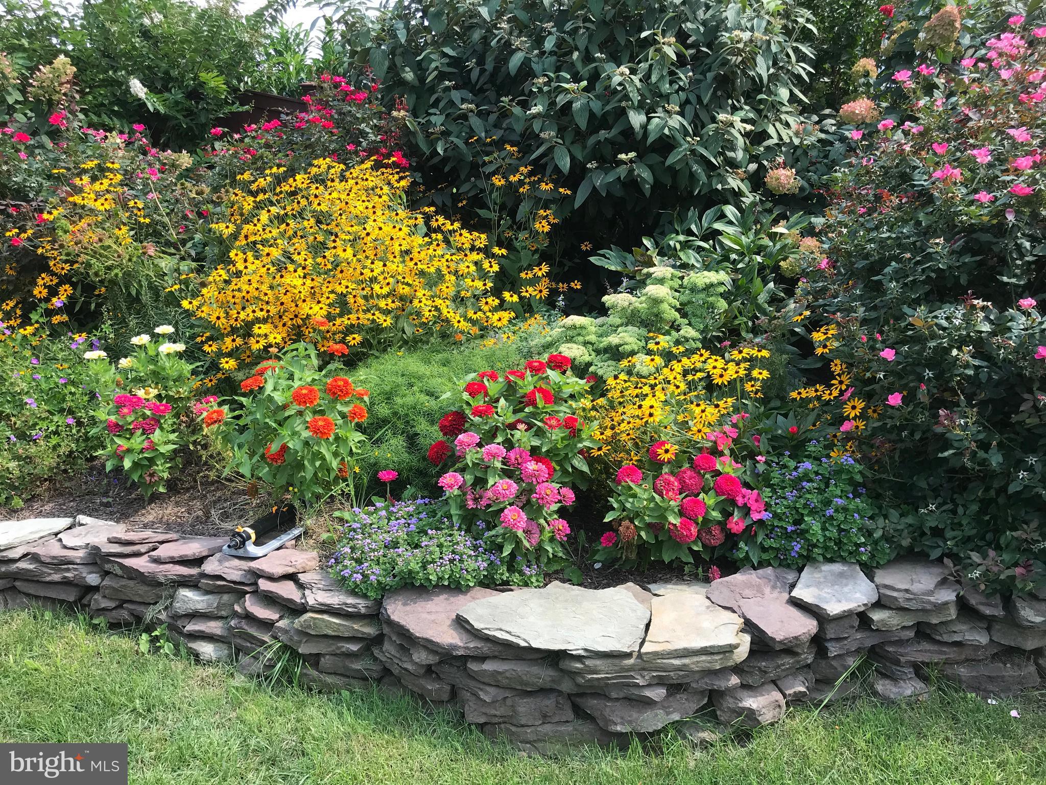 ELKINS PARK - Residential