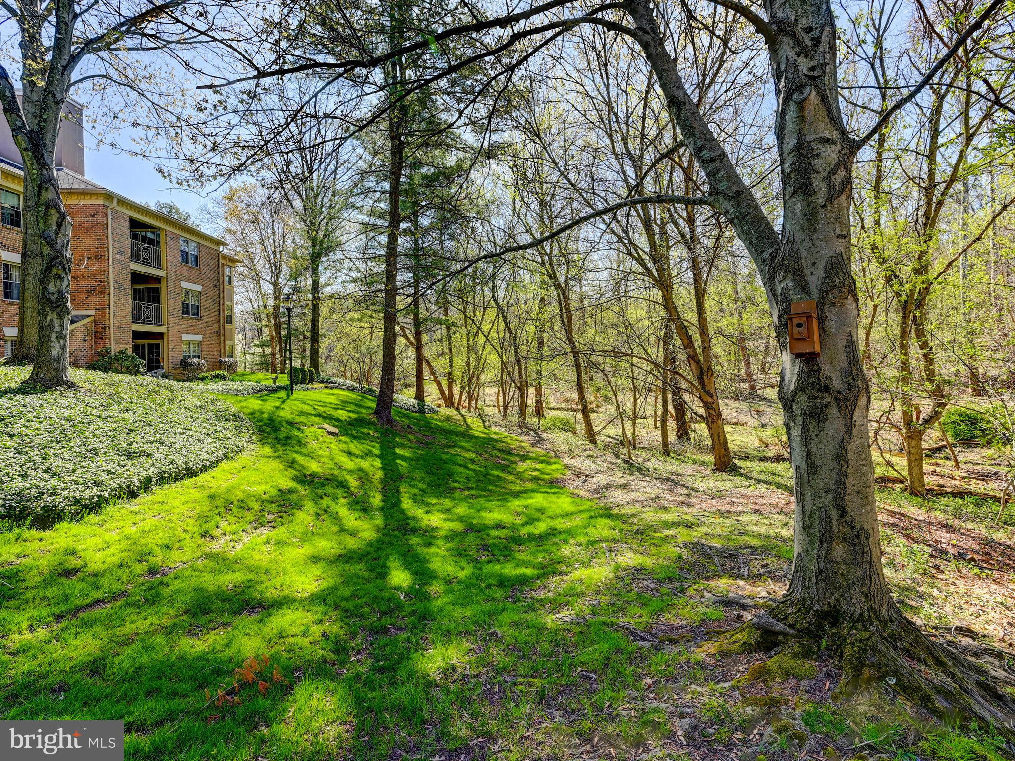 LOVETON FARMS - Residential