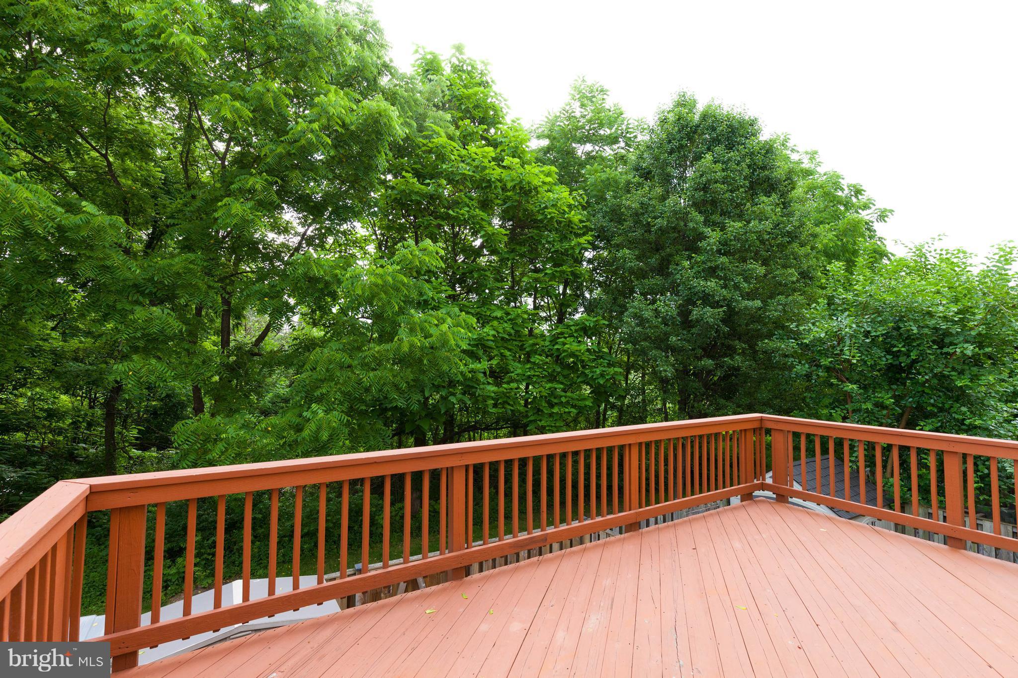 BALLENGER CROSSING - Residential