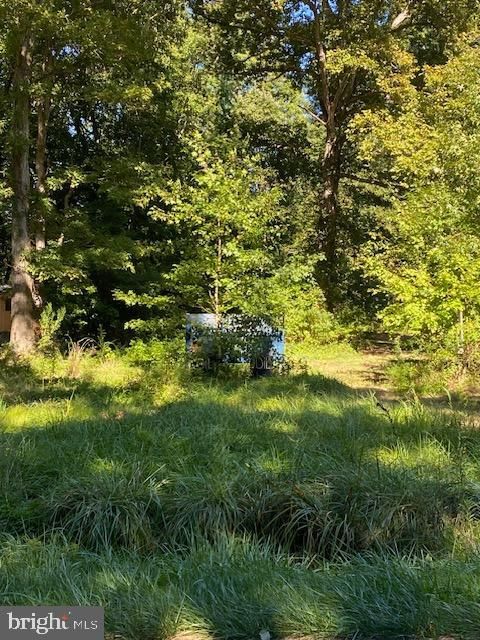 Photo of 0 Forest Road, MILTON, DE 19968 (MLS # DESU2070398)