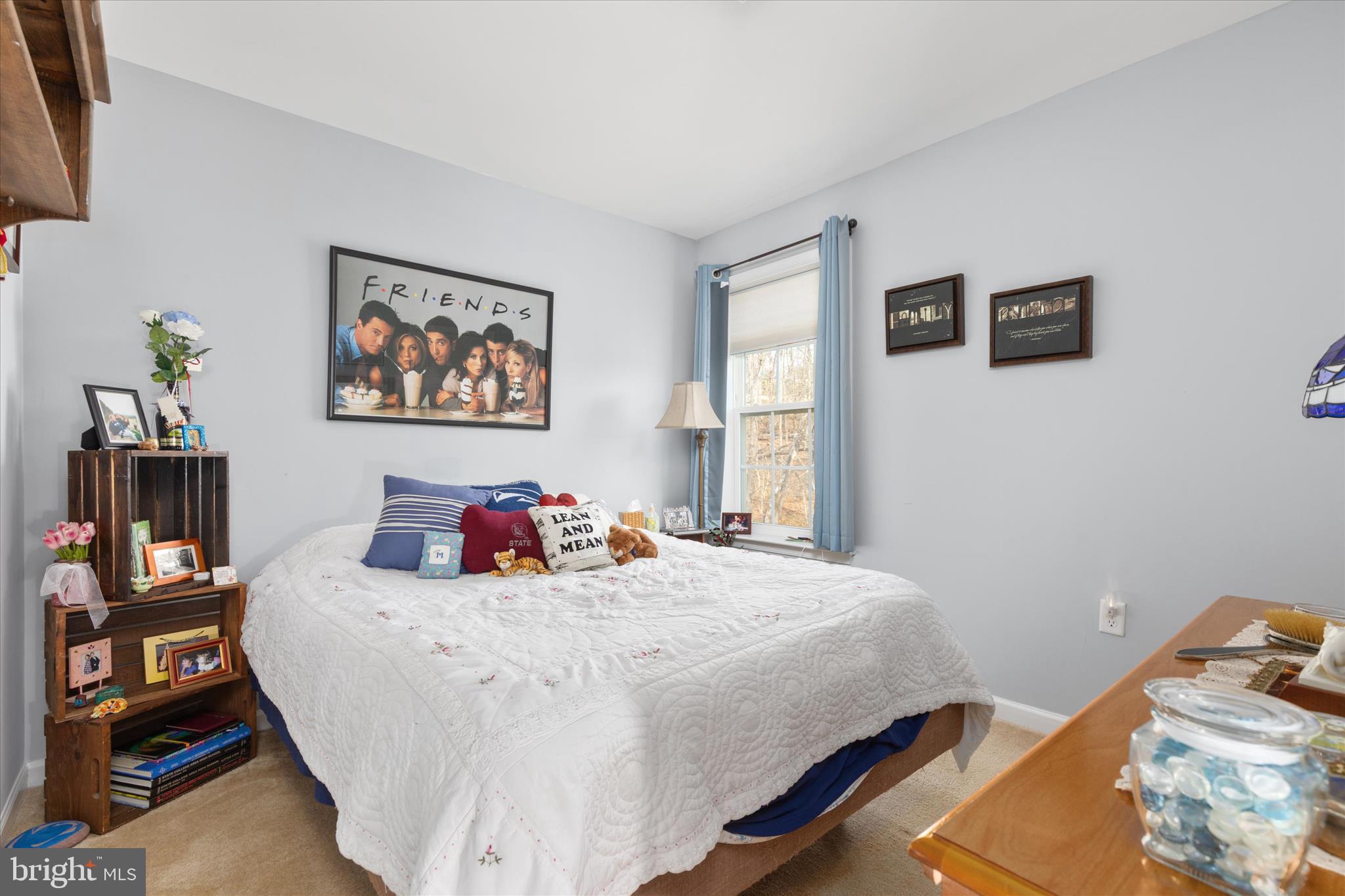 LAKE HOLIDAY ESTATES - Residential