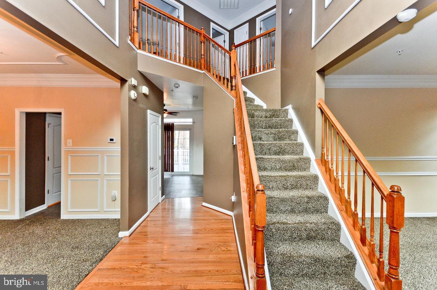 CHELTENHAM PARK - Residential