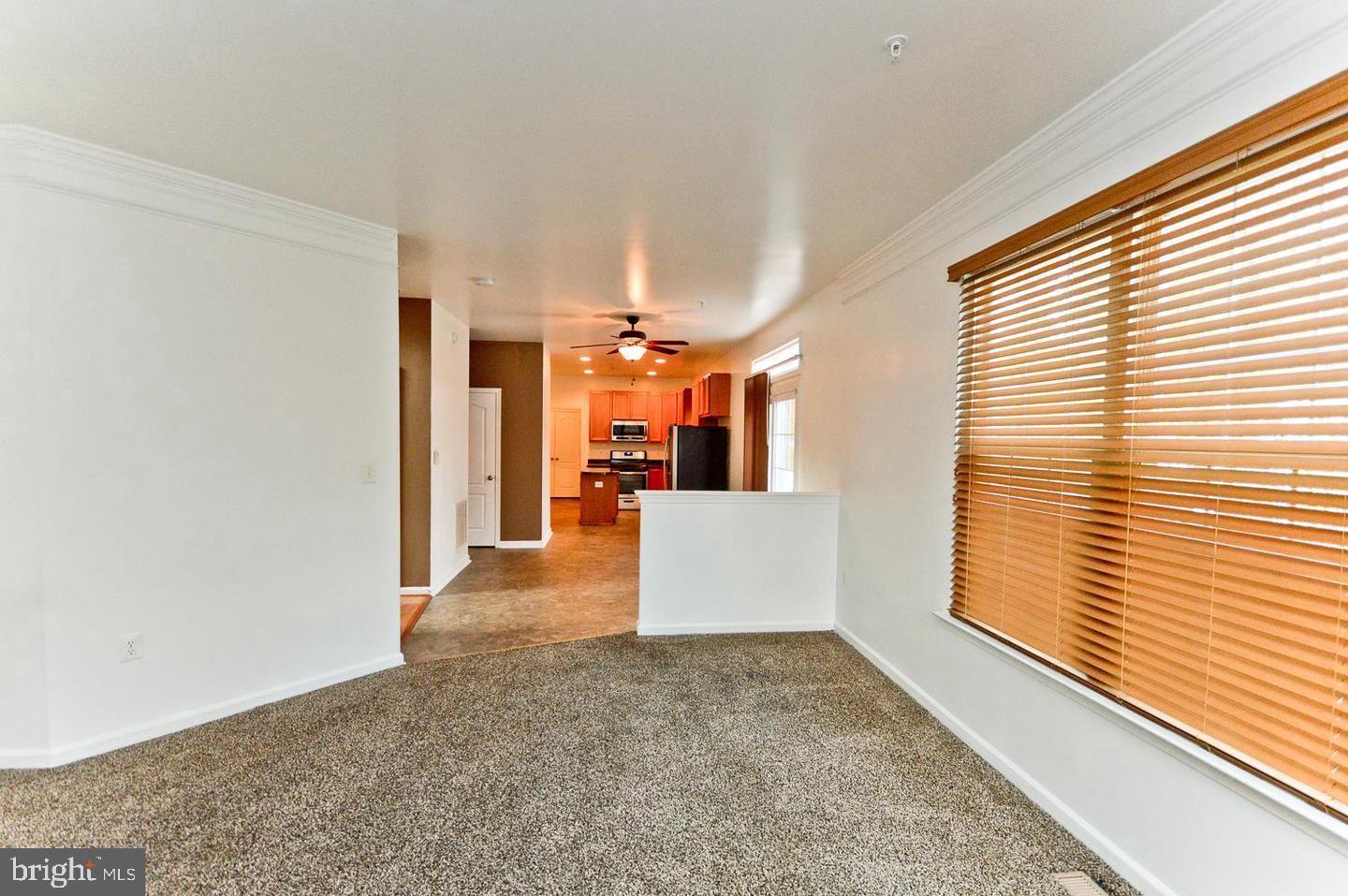 CHELTENHAM PARK - Residential