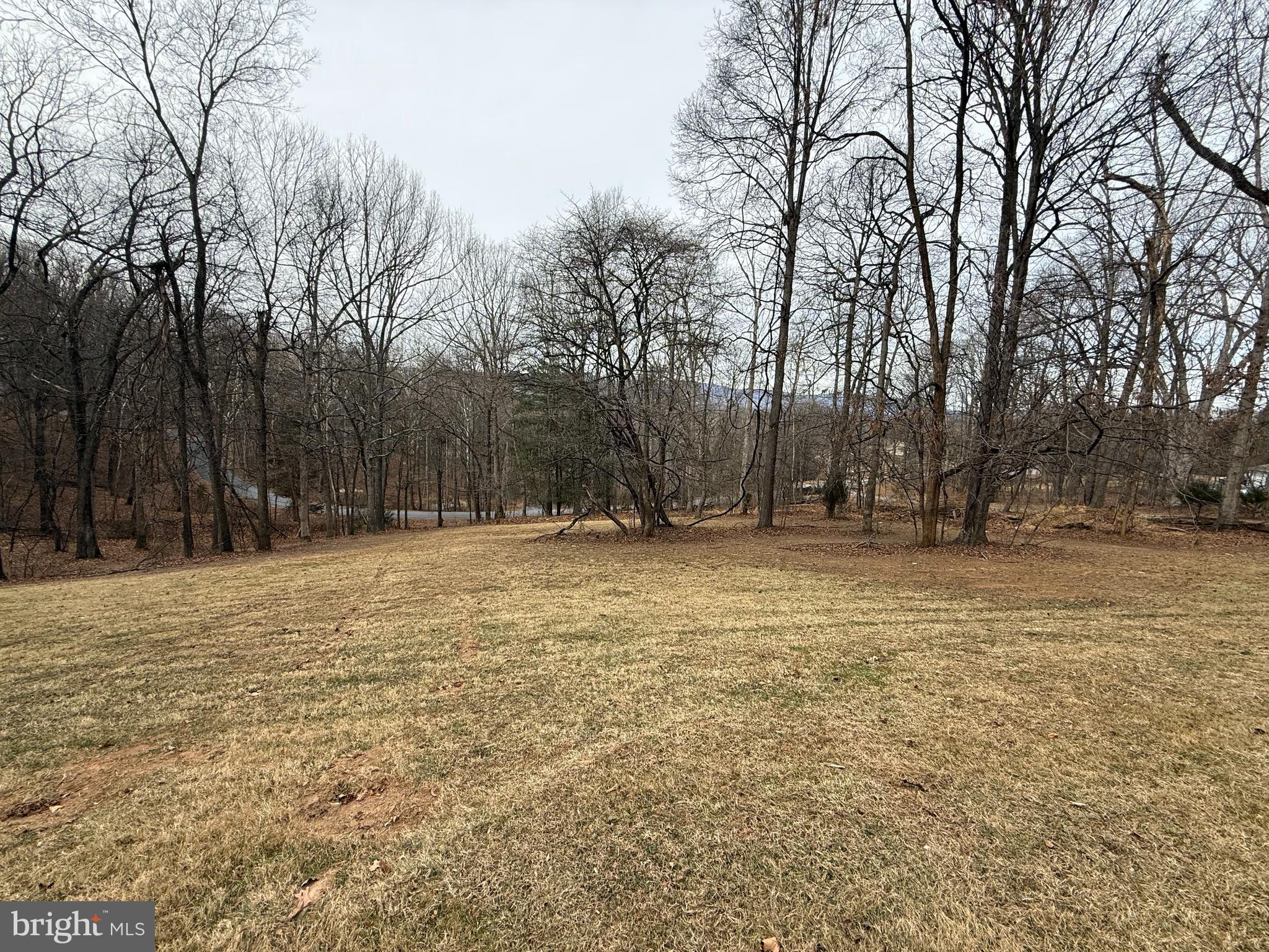 SKYLINE FOREST - Residential