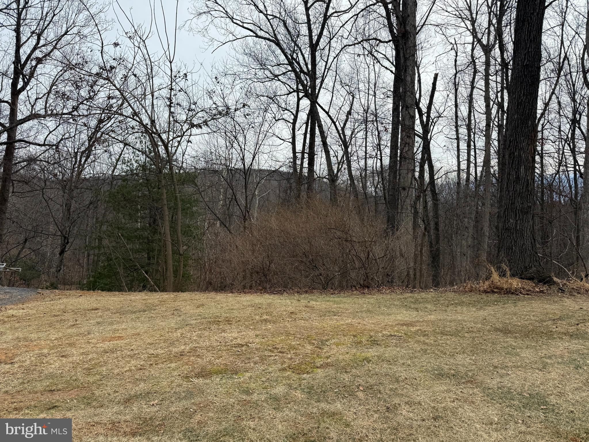 SKYLINE FOREST - Residential