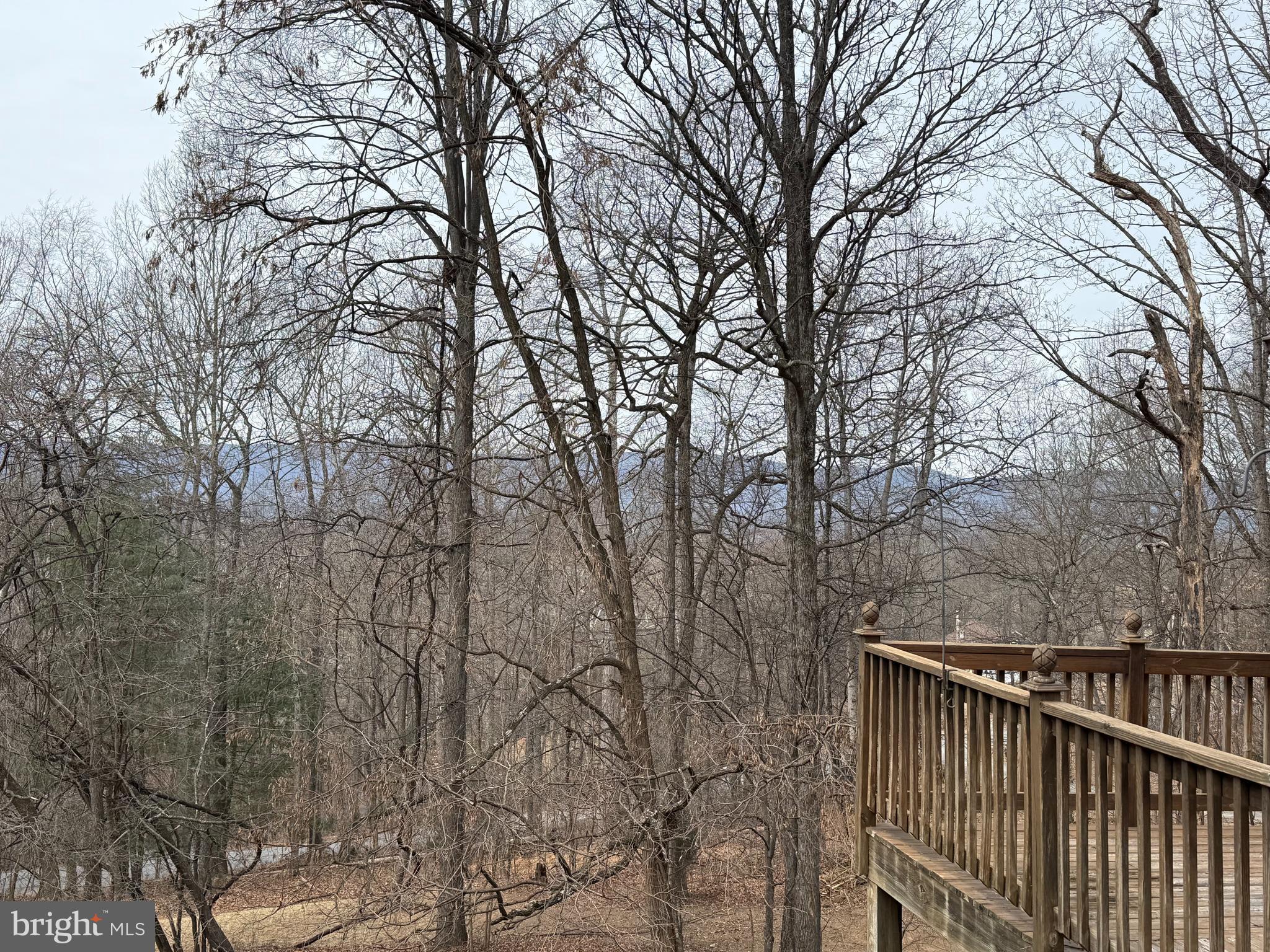 SKYLINE FOREST - Residential