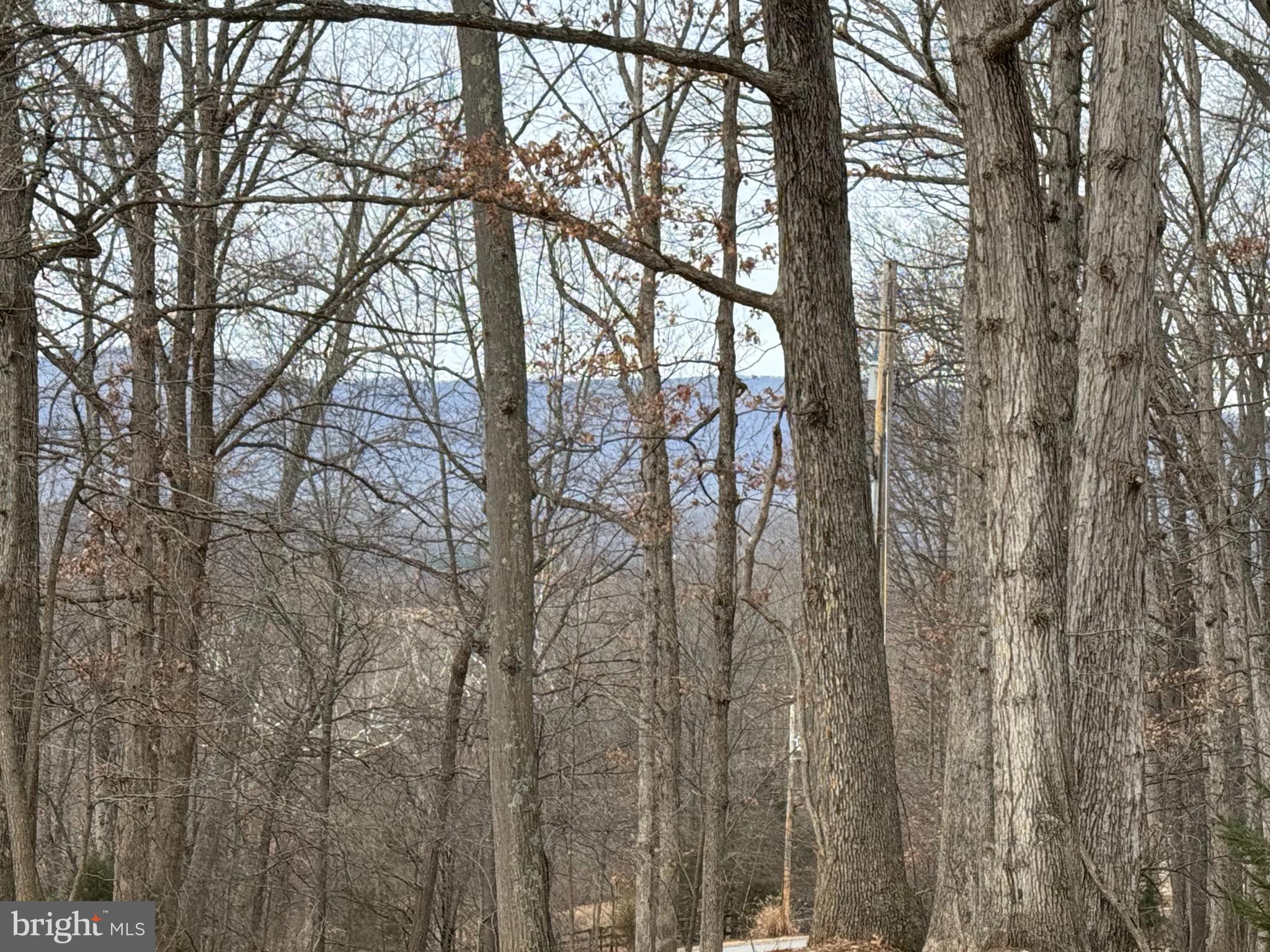SKYLINE FOREST - Residential