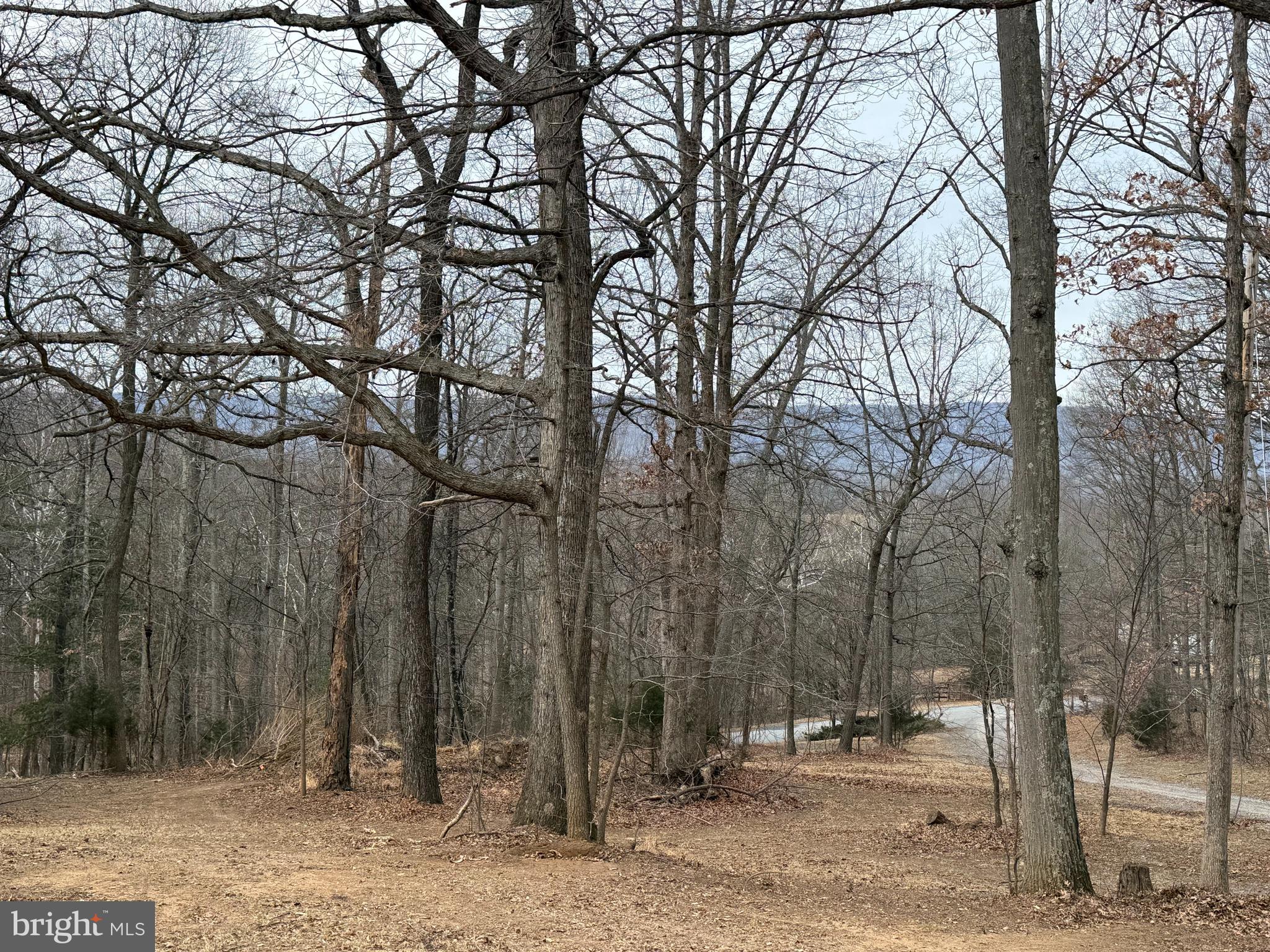 SKYLINE FOREST - Residential