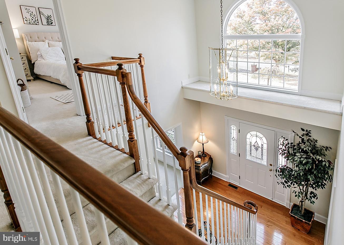 LONGWOOD MEADOWS - Residential