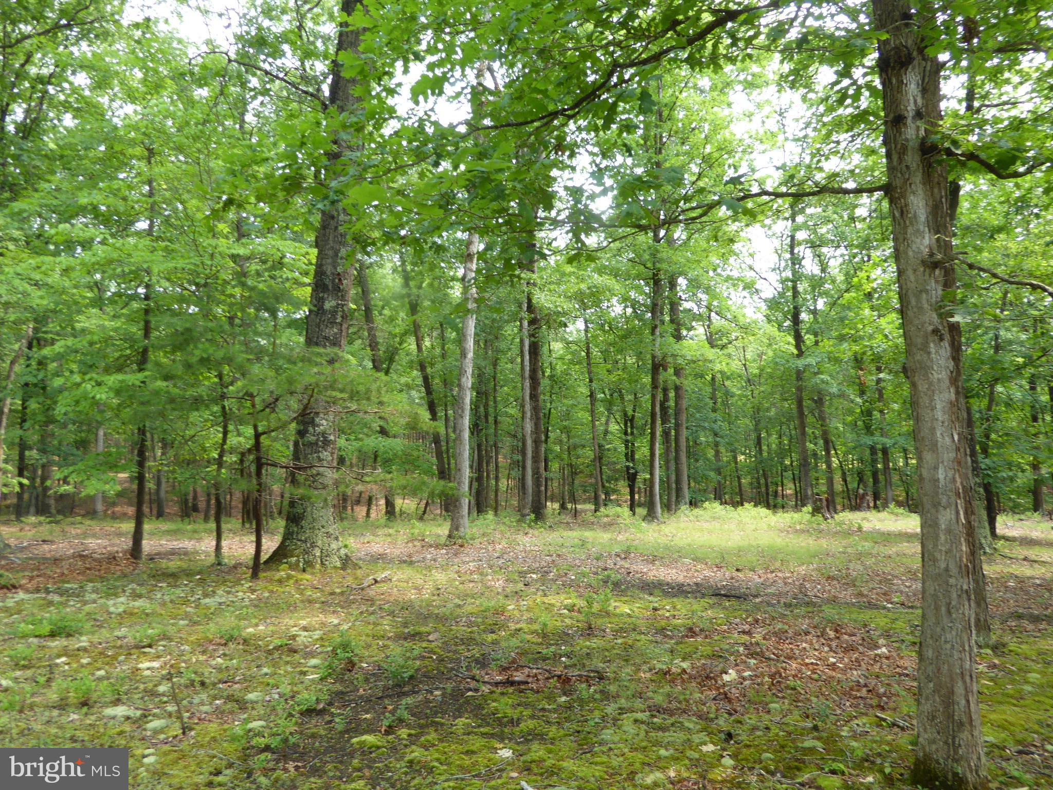 SOUTH POTOMAC FOREST - Residential
