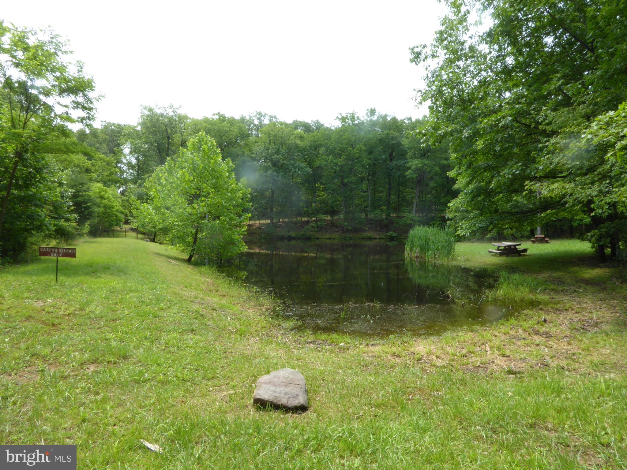 SOUTH POTOMAC FOREST - Residential