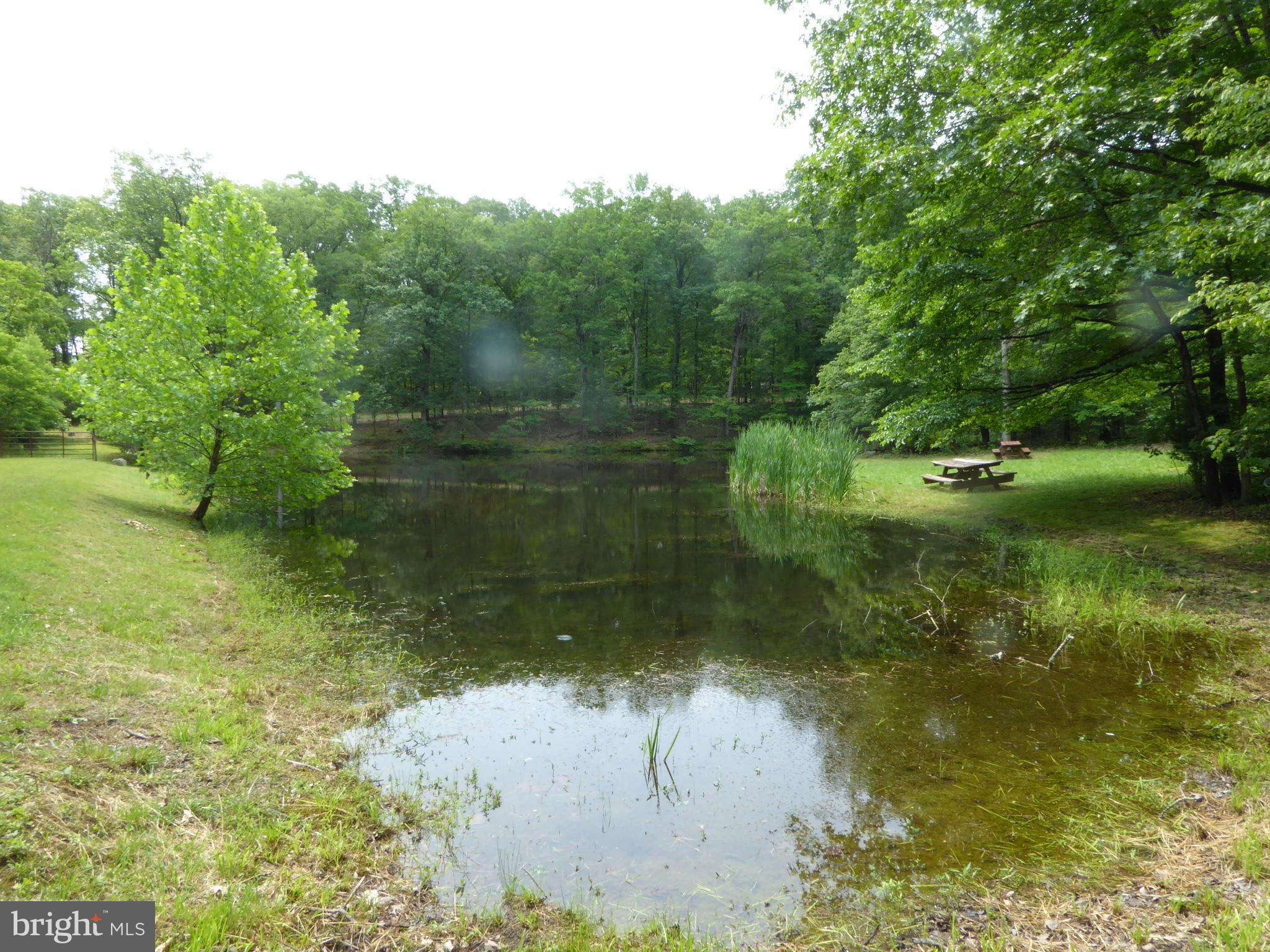 SOUTH POTOMAC FOREST - Residential
