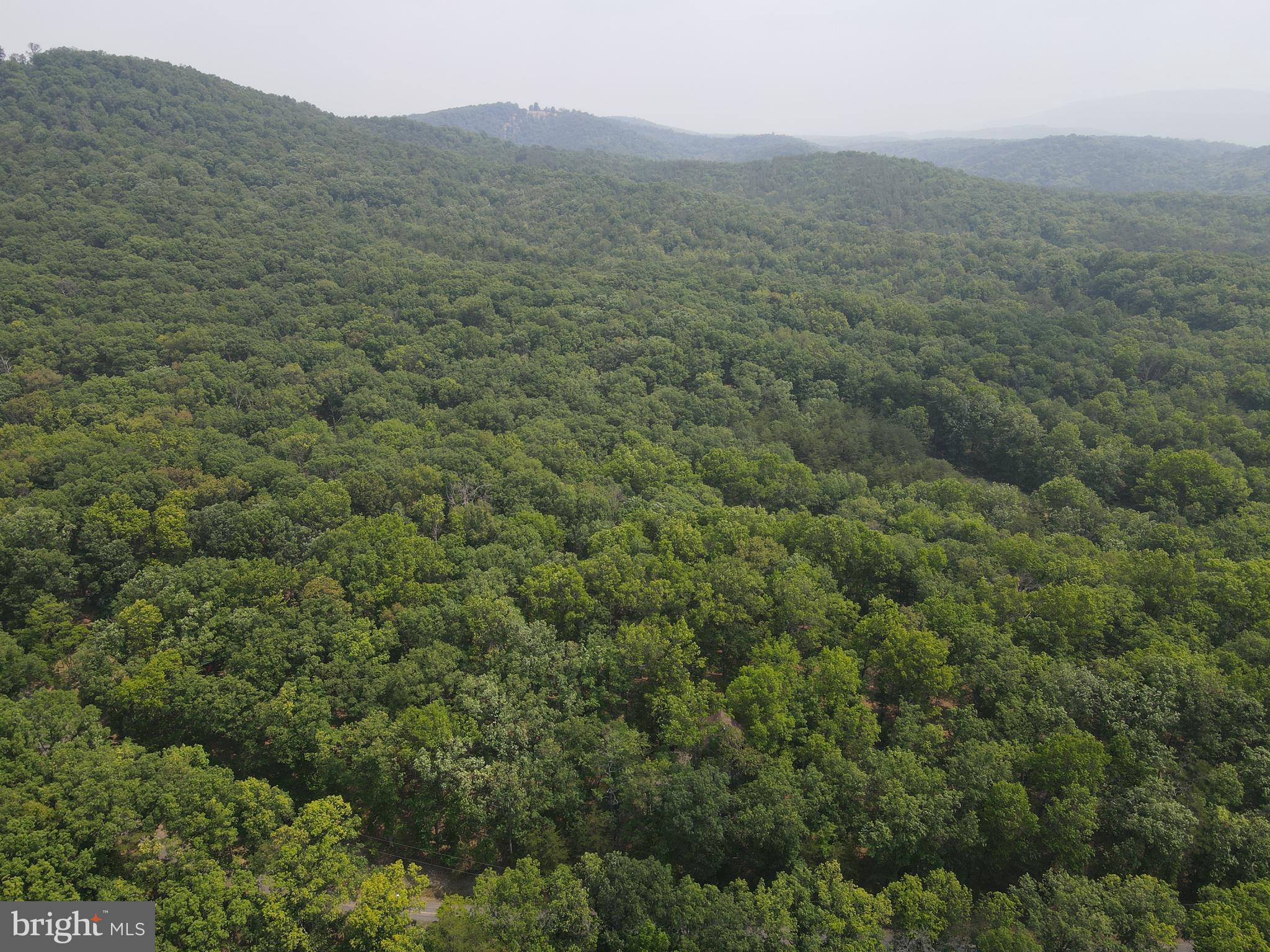 SOUTH POTOMAC FOREST - Residential