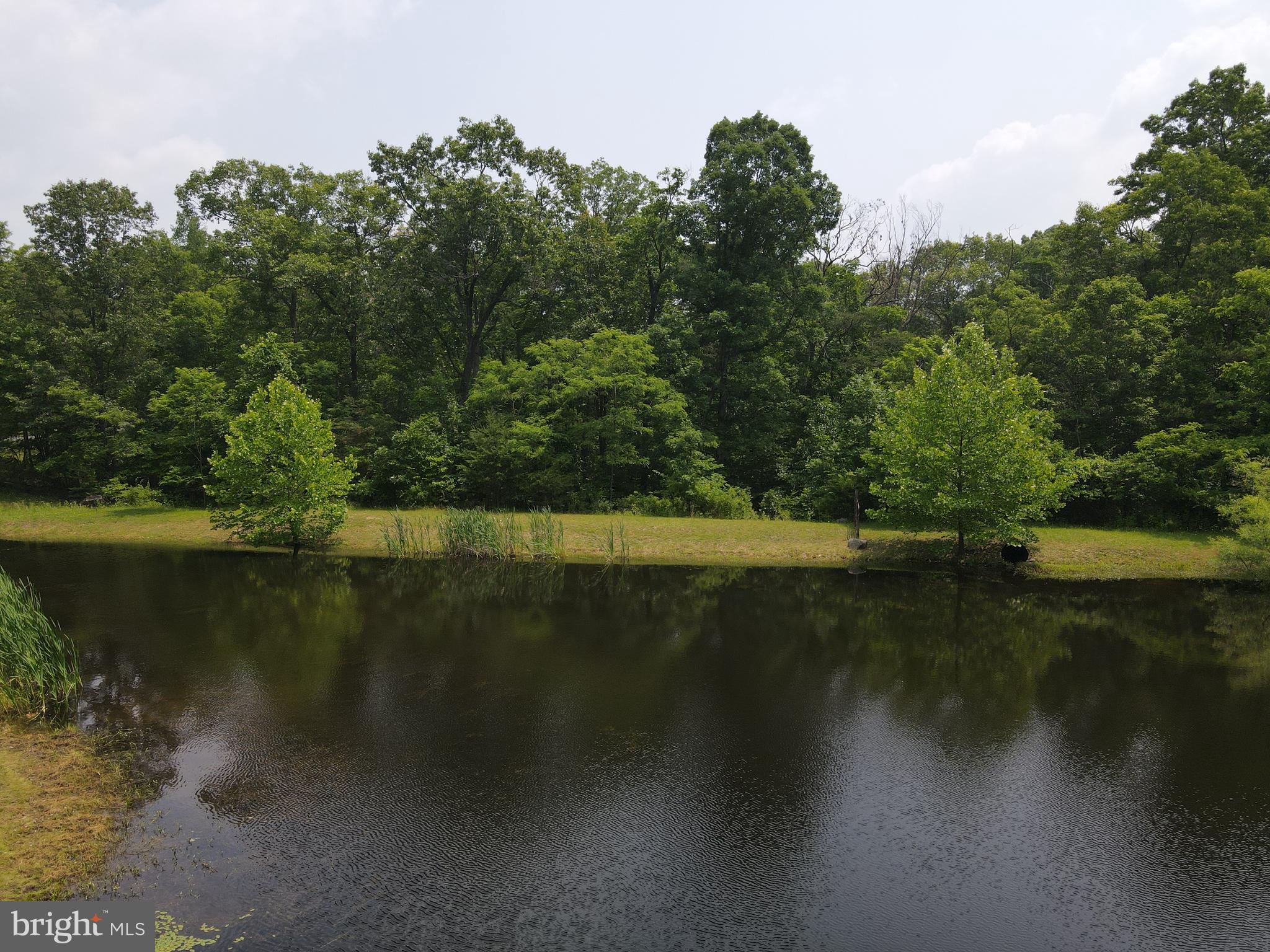 SOUTH POTOMAC FOREST - Residential