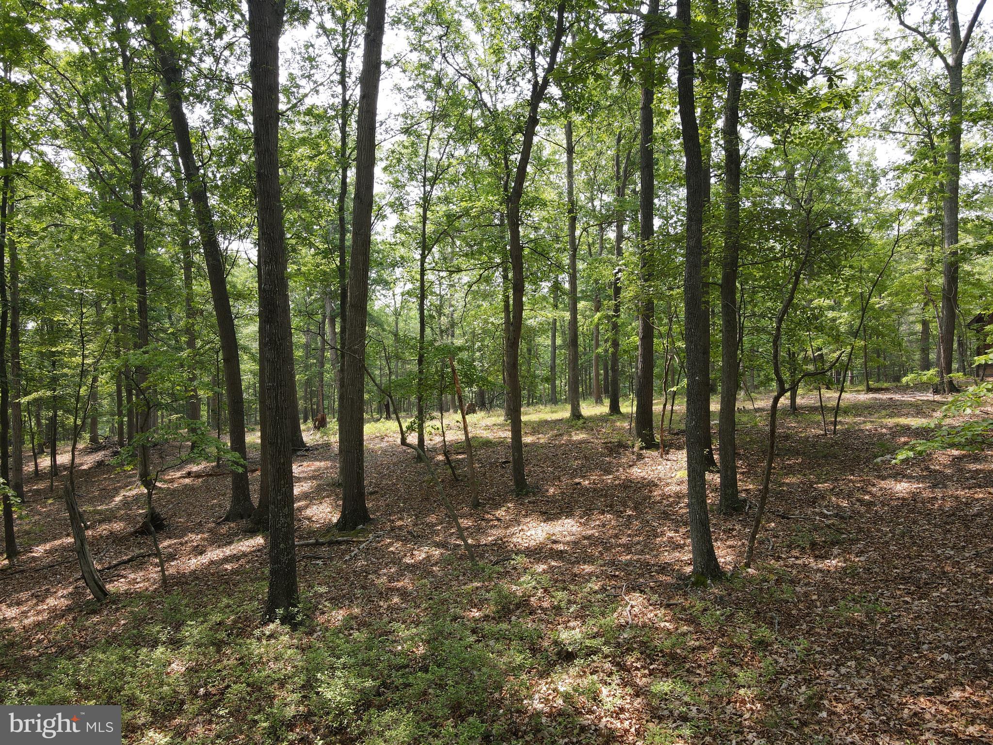 SOUTH POTOMAC FOREST - Residential